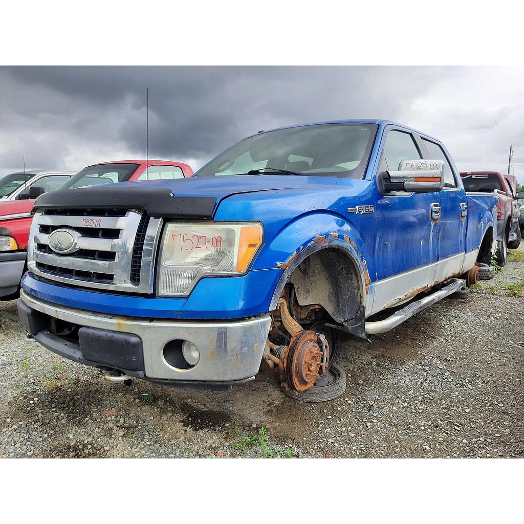 FORD F-150 2009