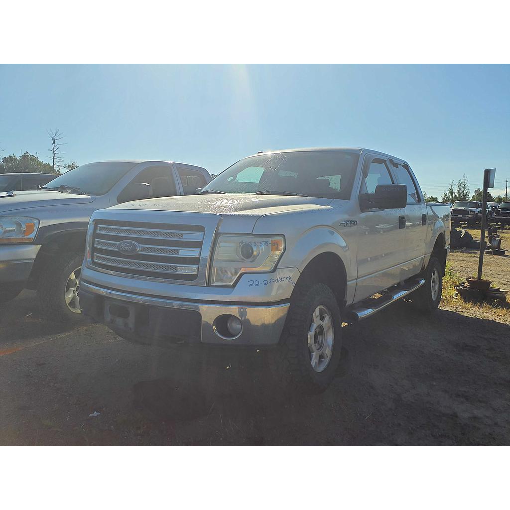 FORD F-150 2009