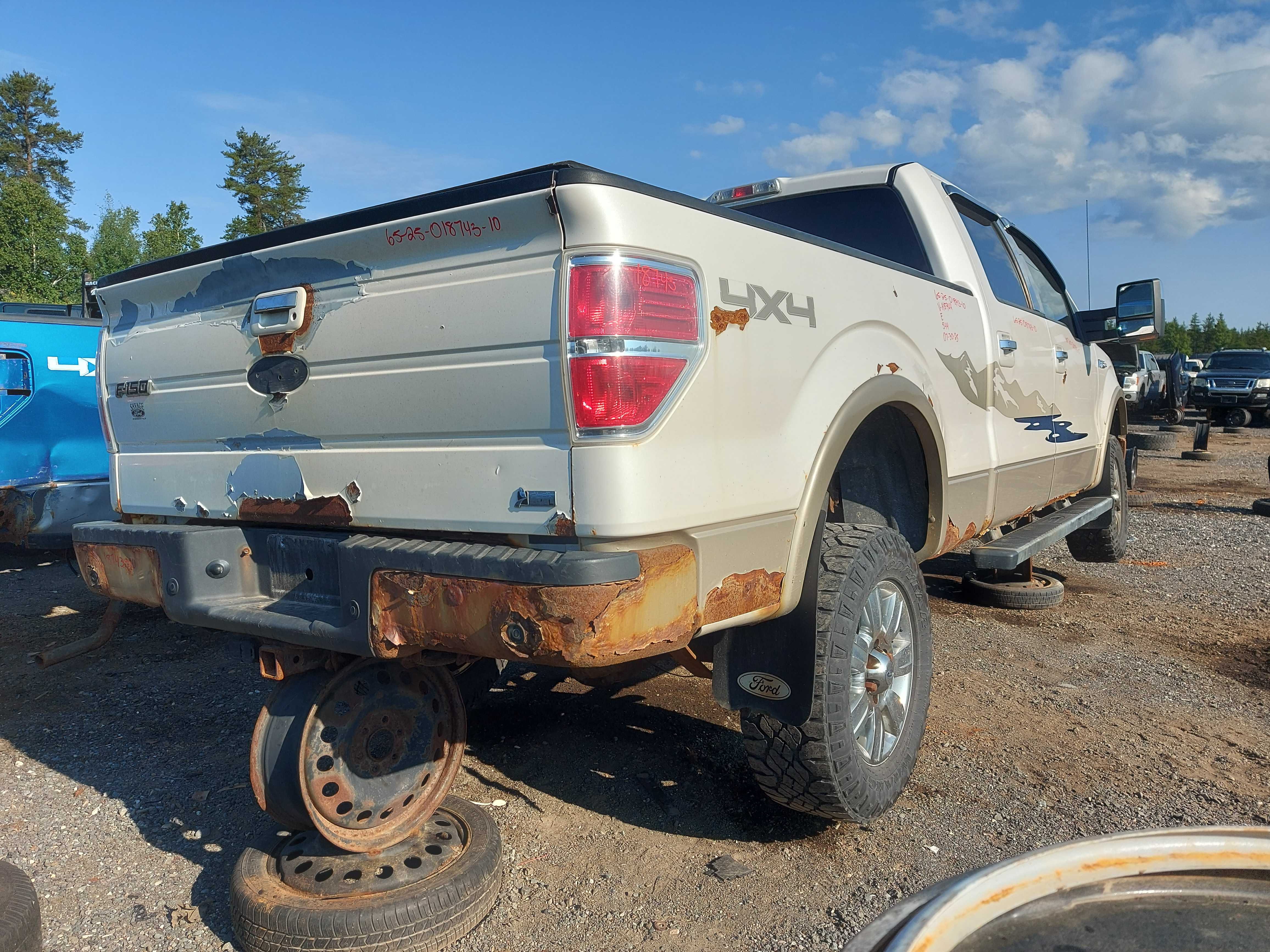FORD F-150 2010