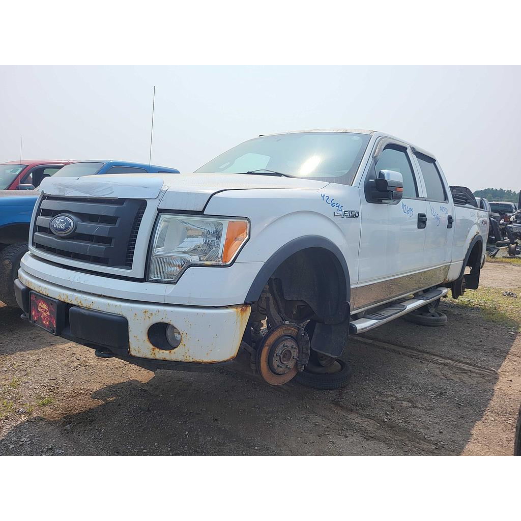 FORD F-150 2010