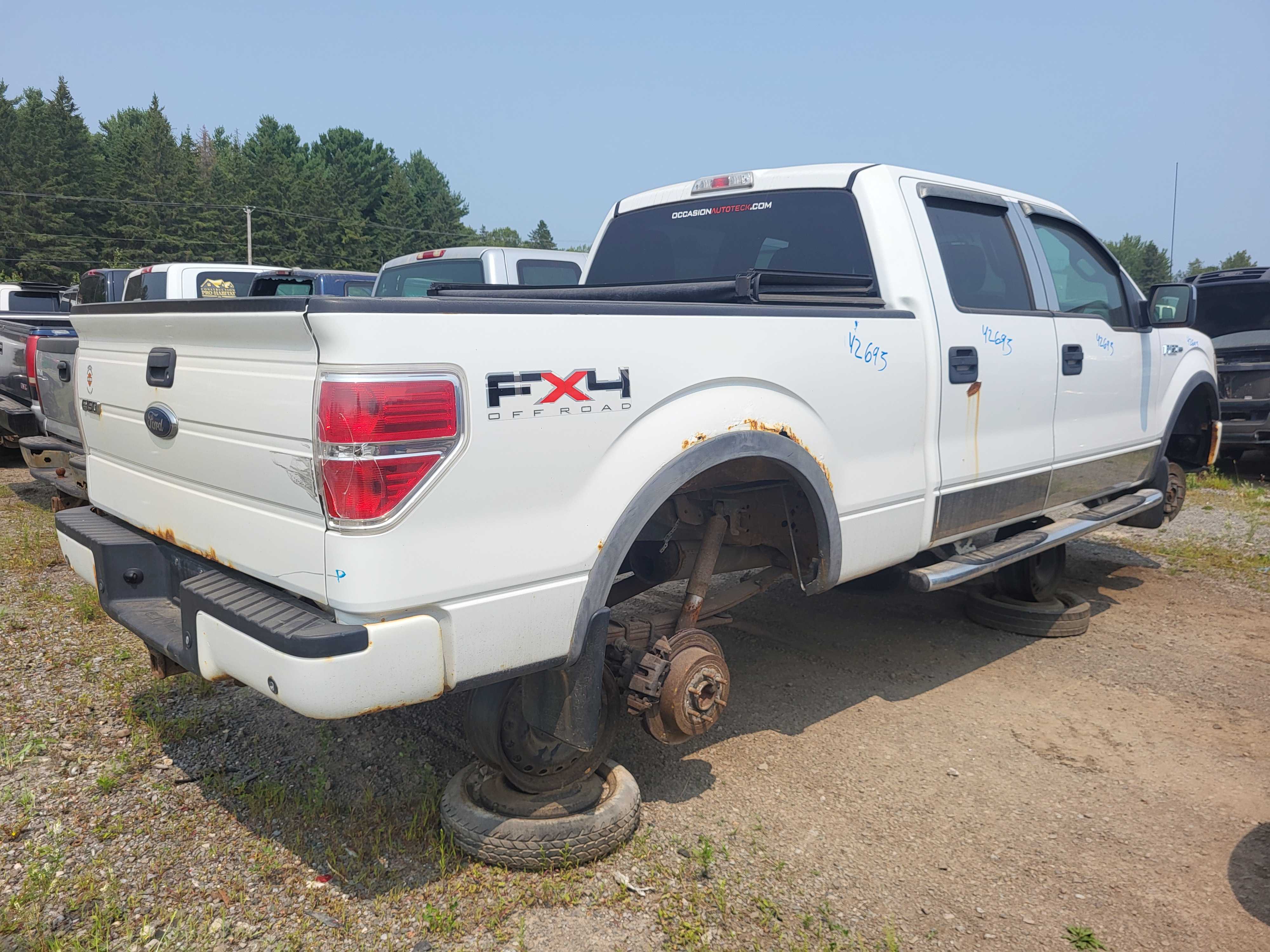 FORD F-150 2010
