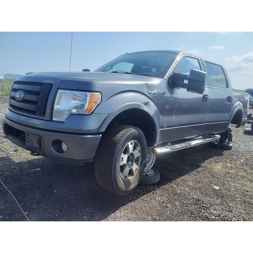 FORD F-150 2010