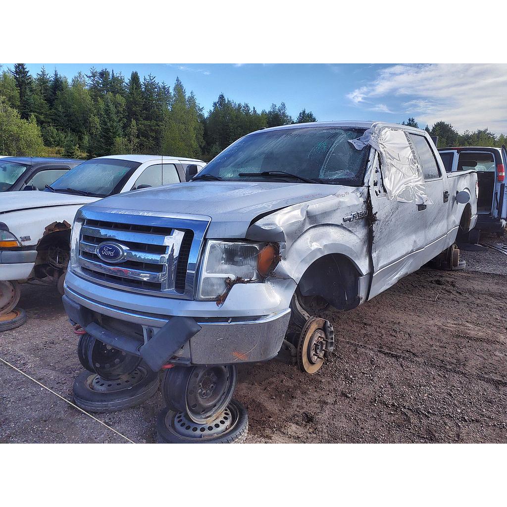 FORD F-150 2010
