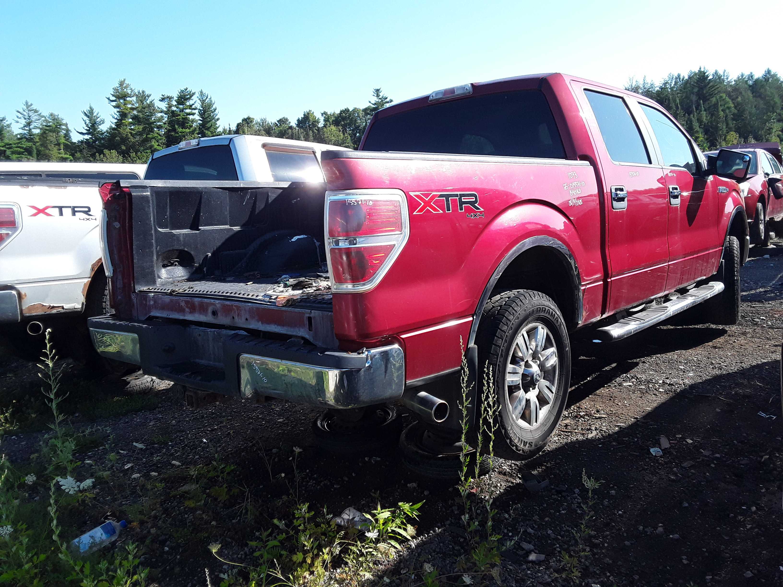 FORD F-150 2010