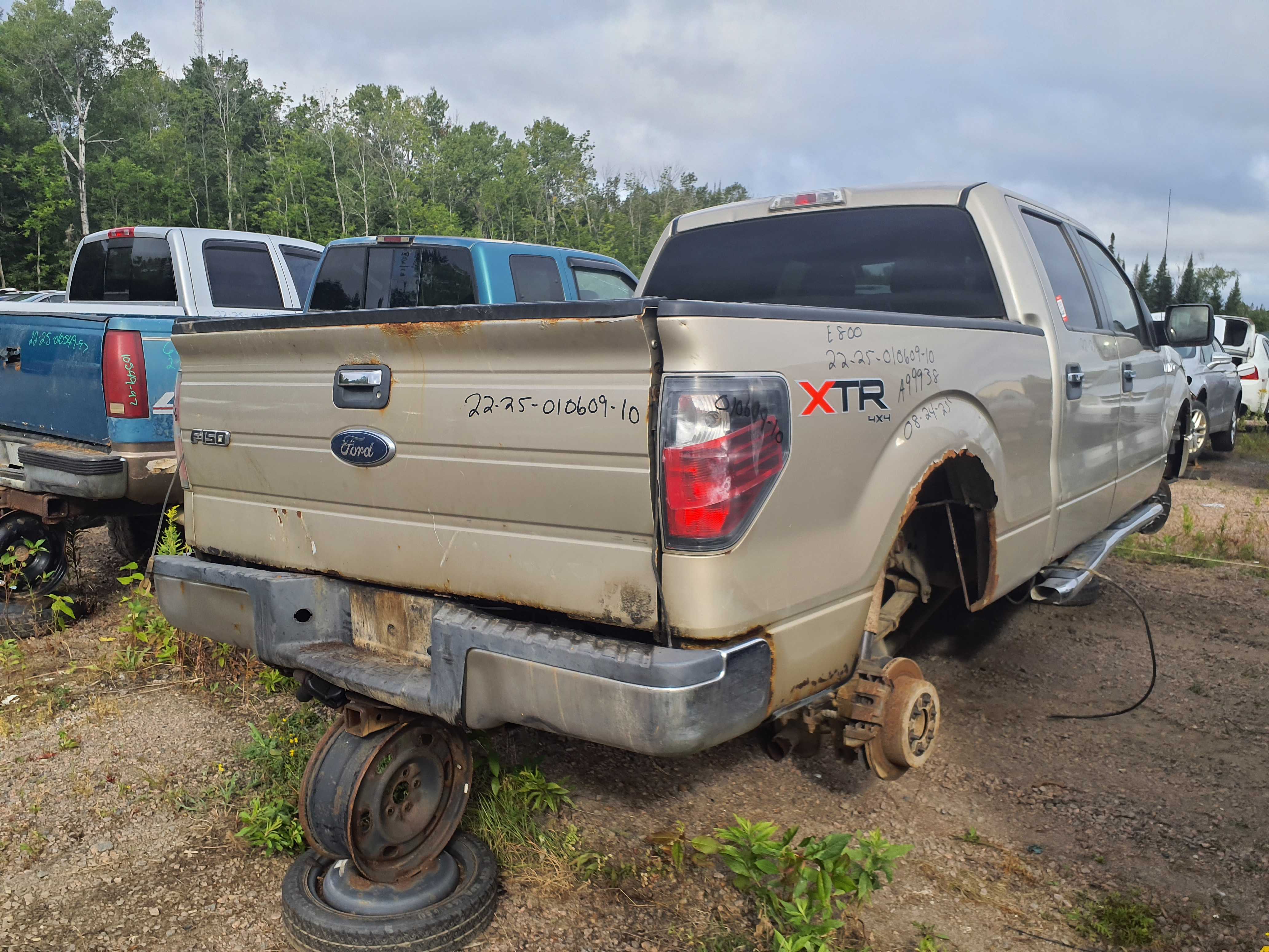 FORD F-150 2010