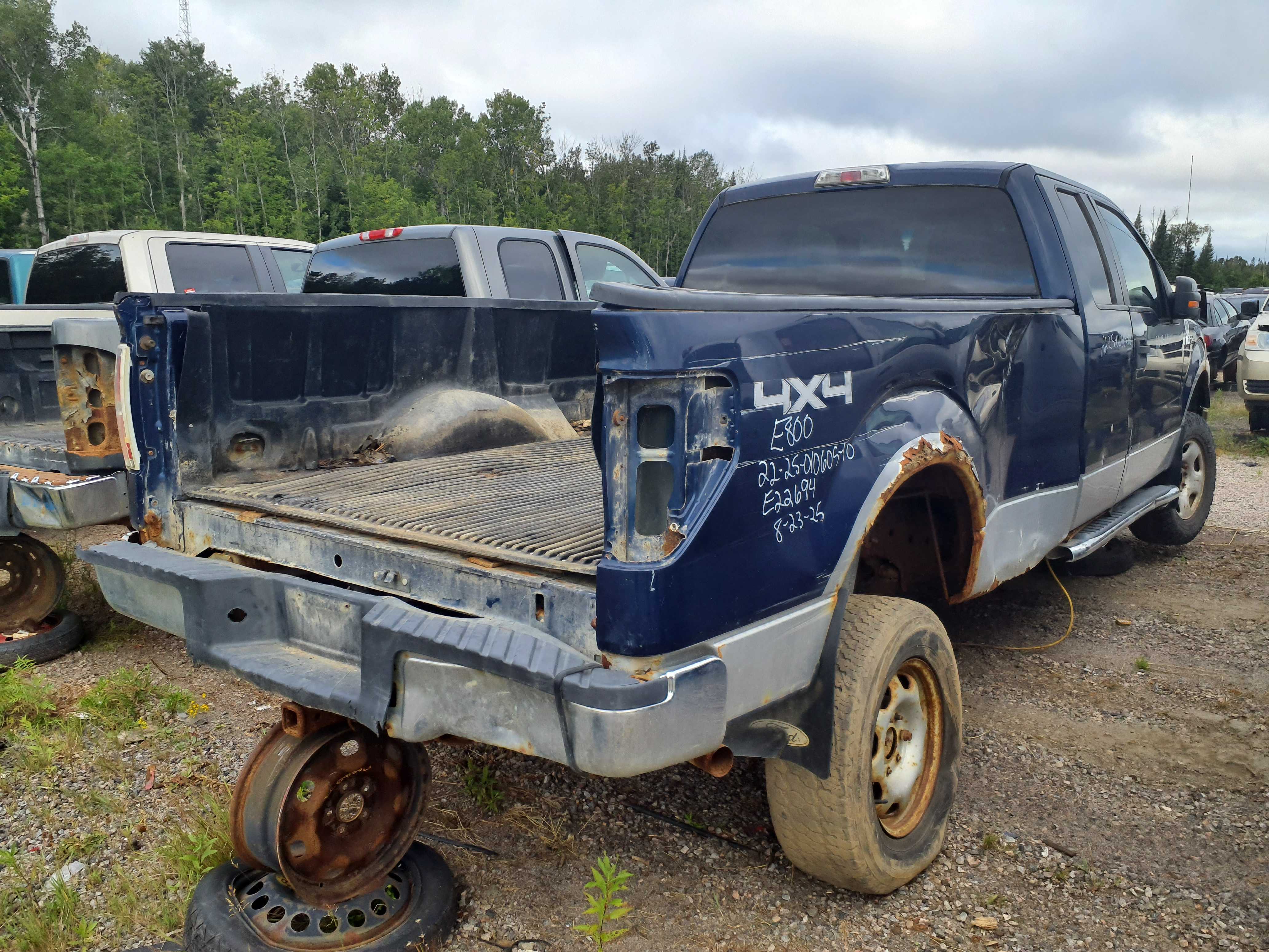 FORD F-150 2010