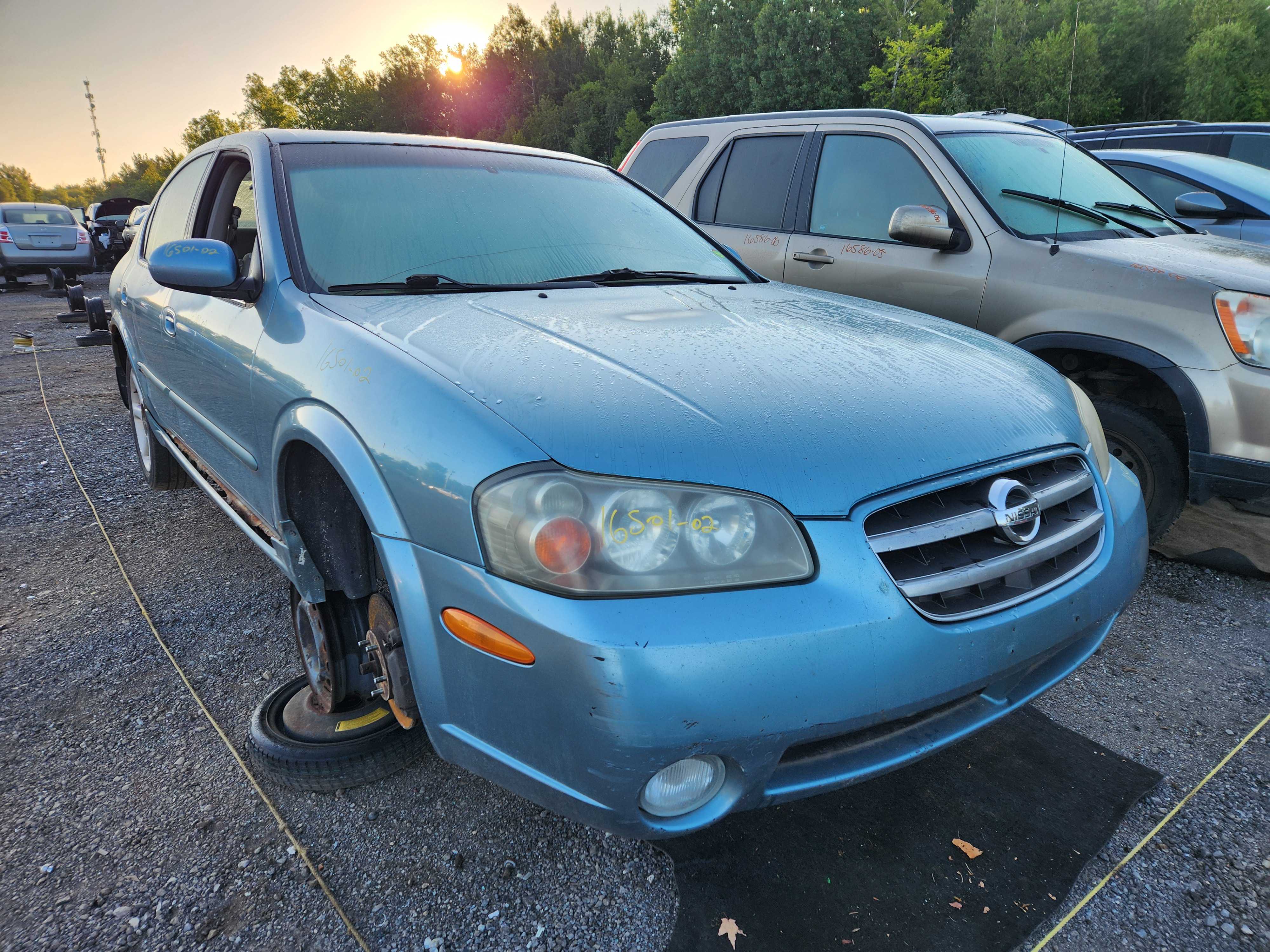 NISSAN MAXIMA 2002