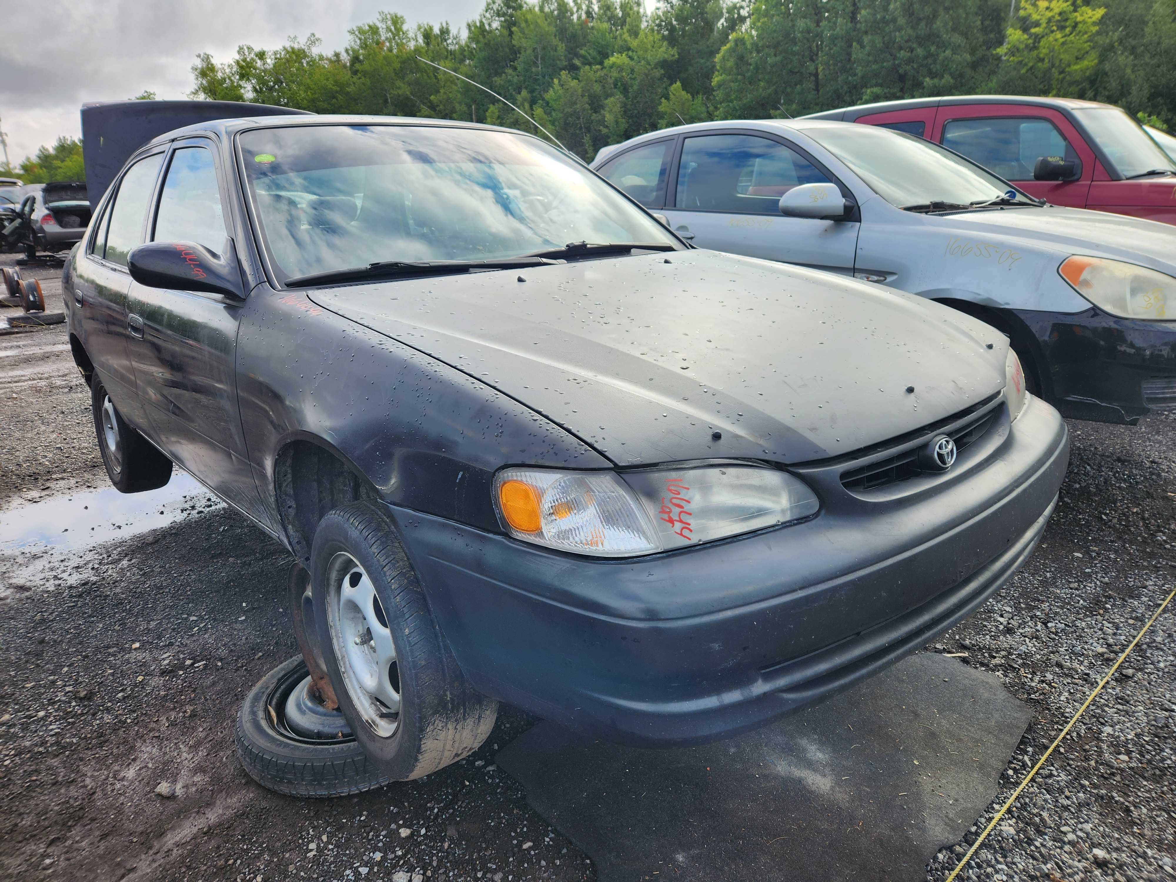 TOYOTA COROLLA 1999