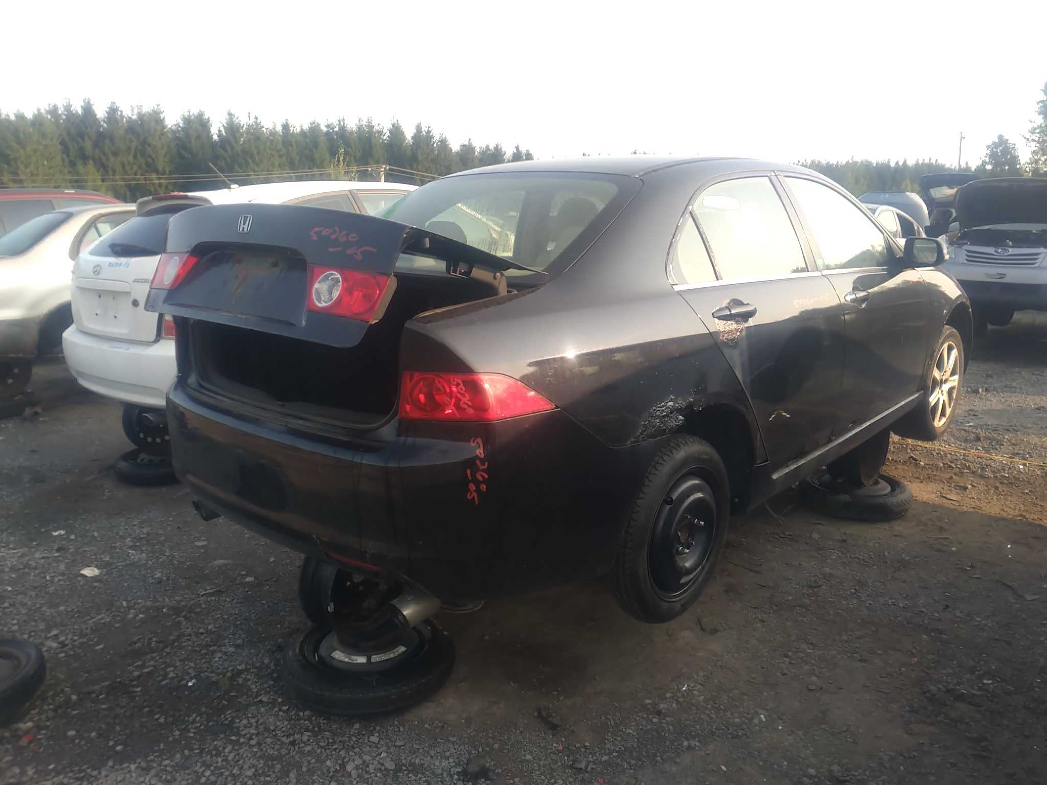 ACURA TSX 2005