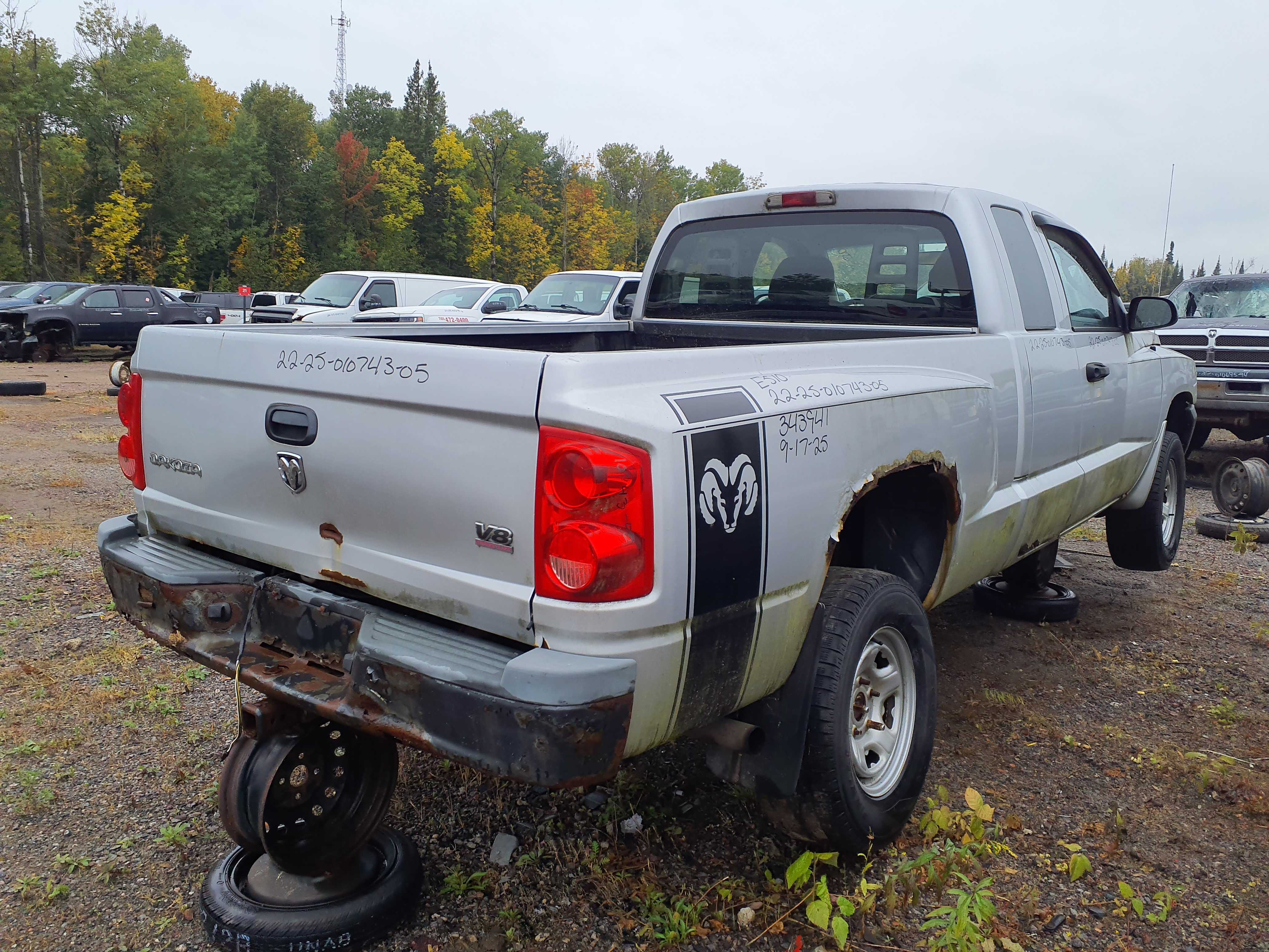 DODGE DAKOTA 2005