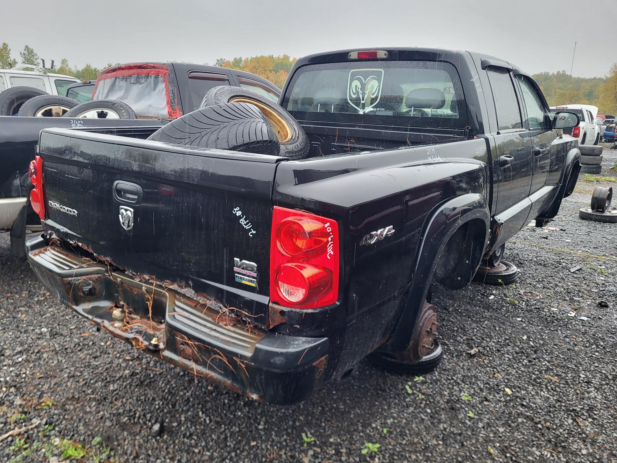 DODGE DAKOTA 2008