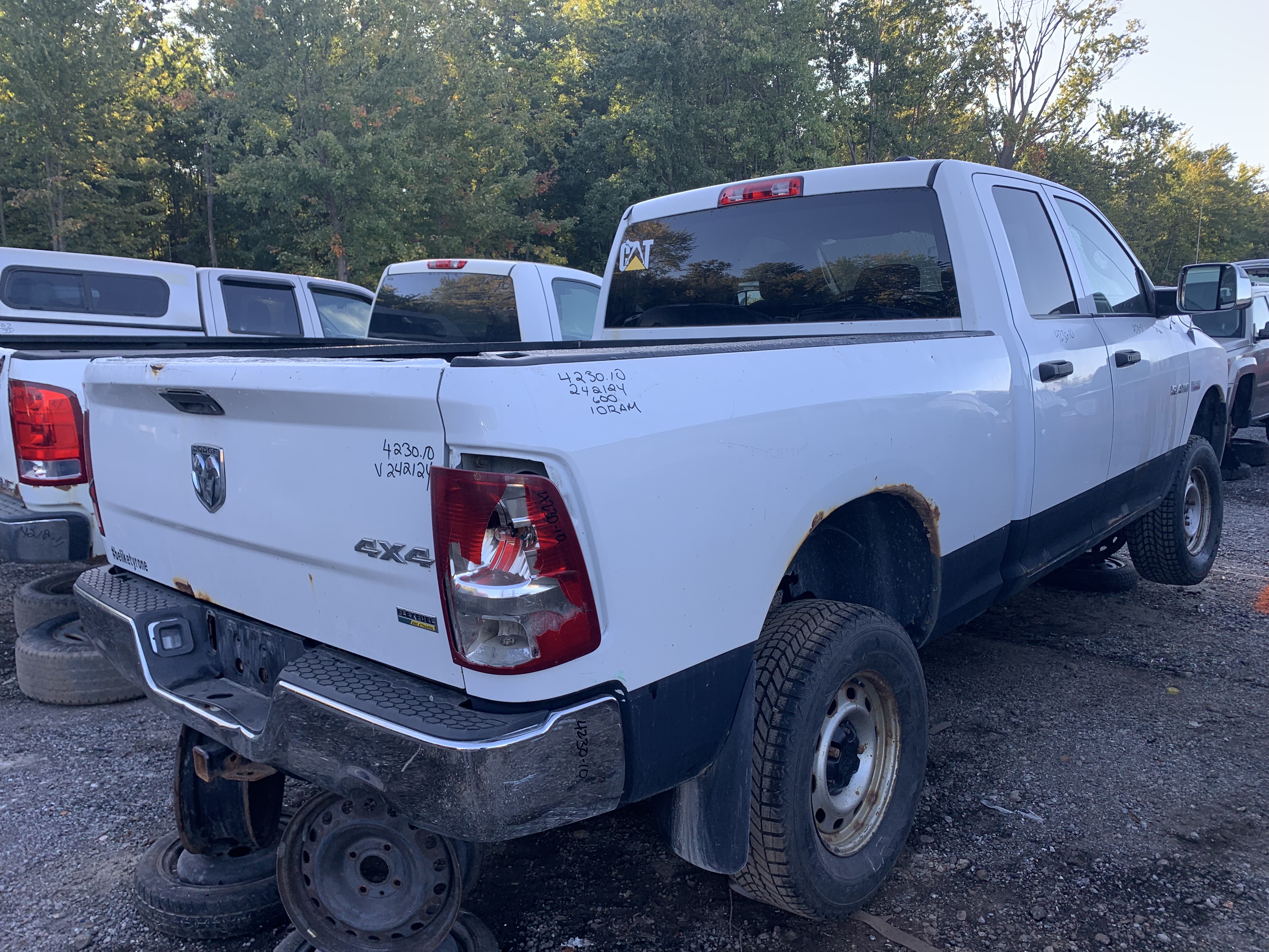 DODGE RAM 1500 2010