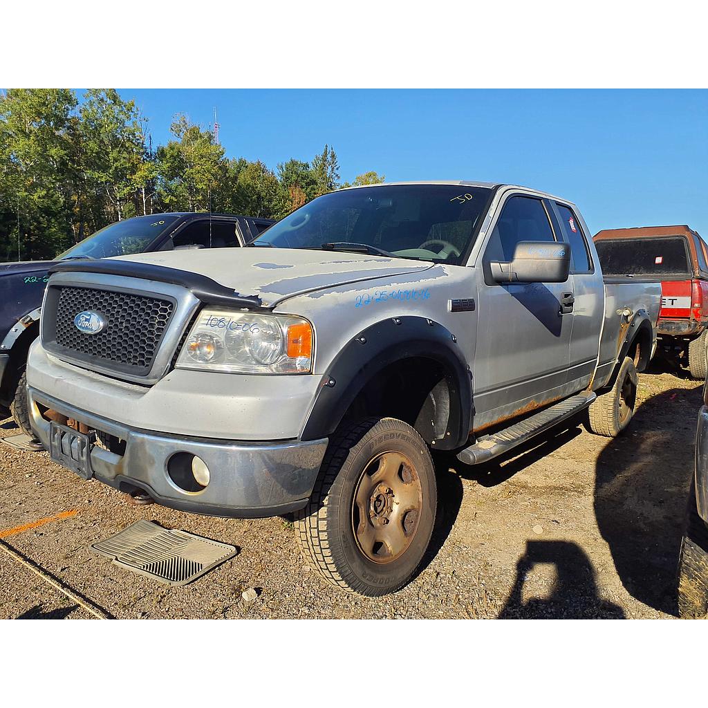 FORD F-150 2006
