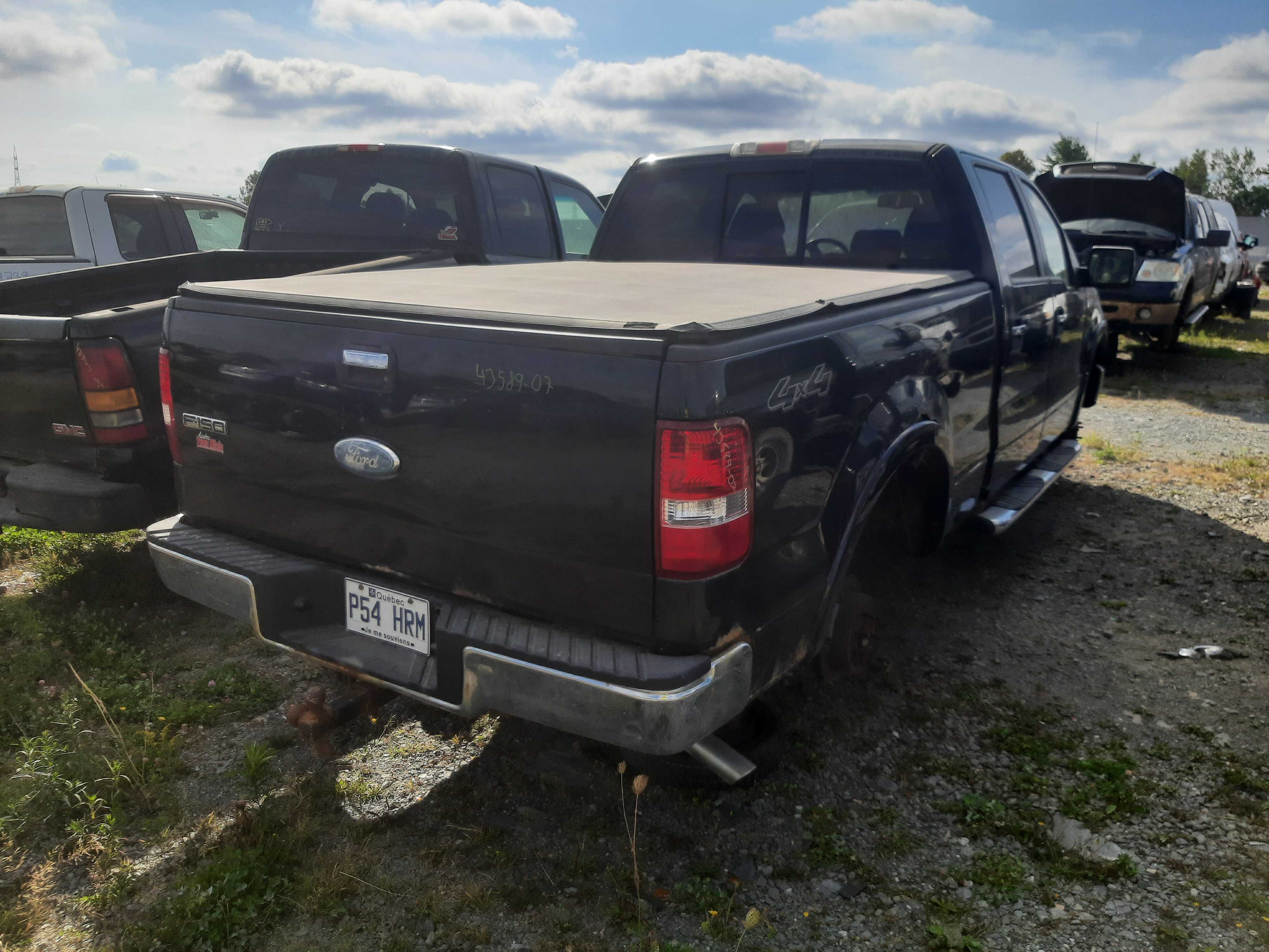 FORD F-150 2007