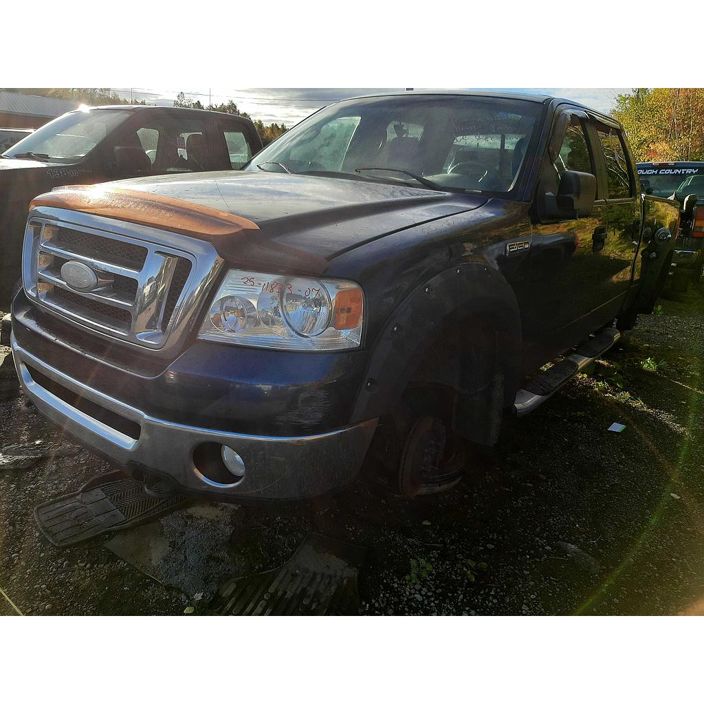 FORD F-150 2007