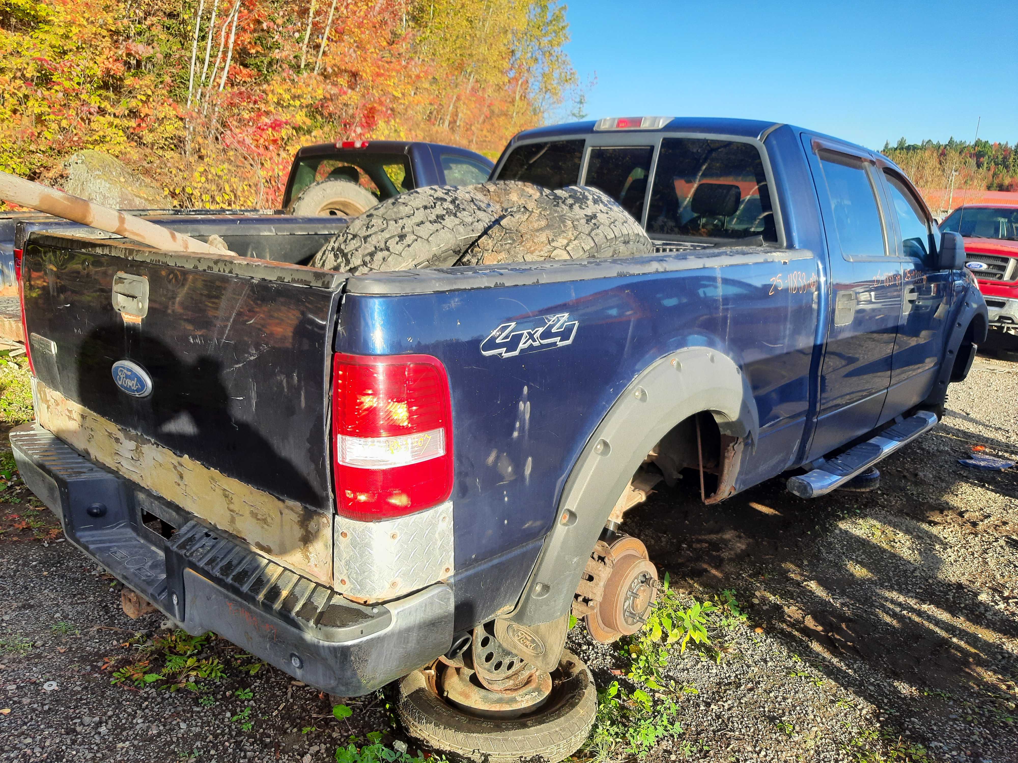 FORD F-150 2007