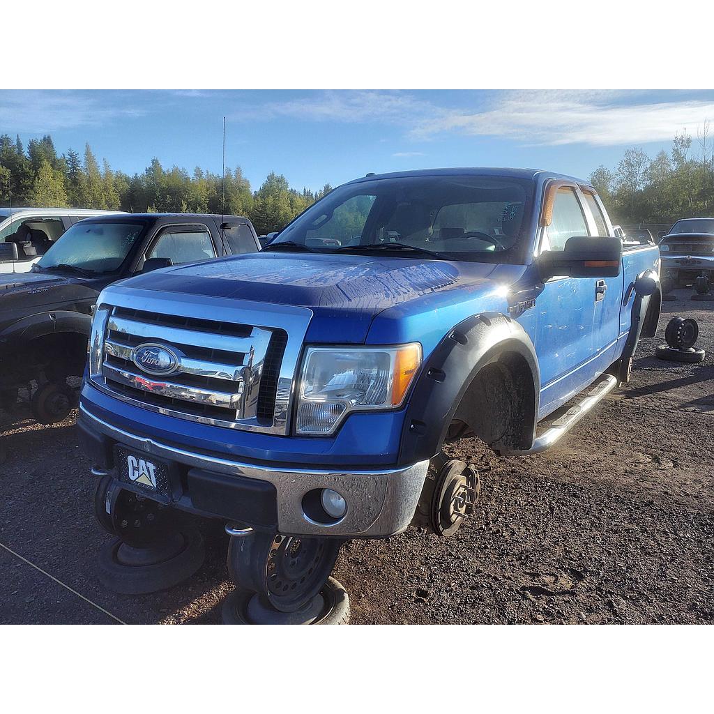FORD F-150 2009
