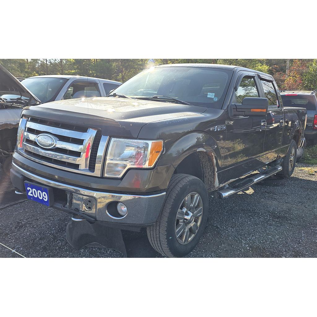 FORD F-150 2009