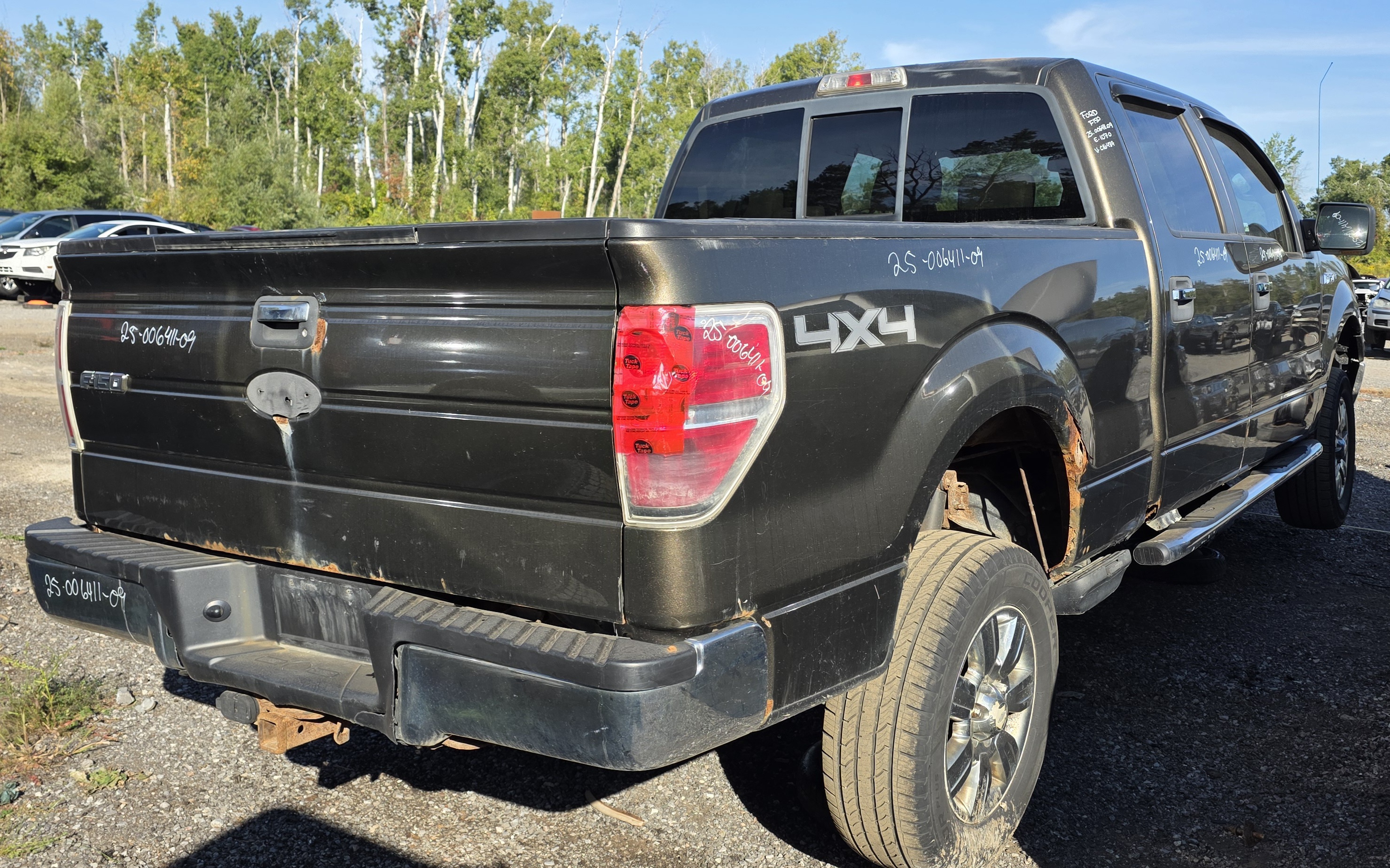 FORD F-150 2009