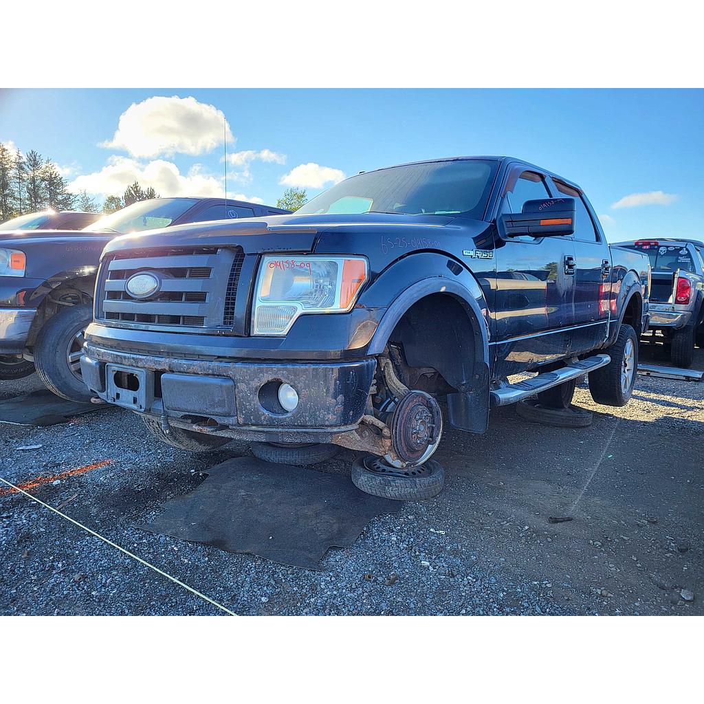 FORD F-150 2009