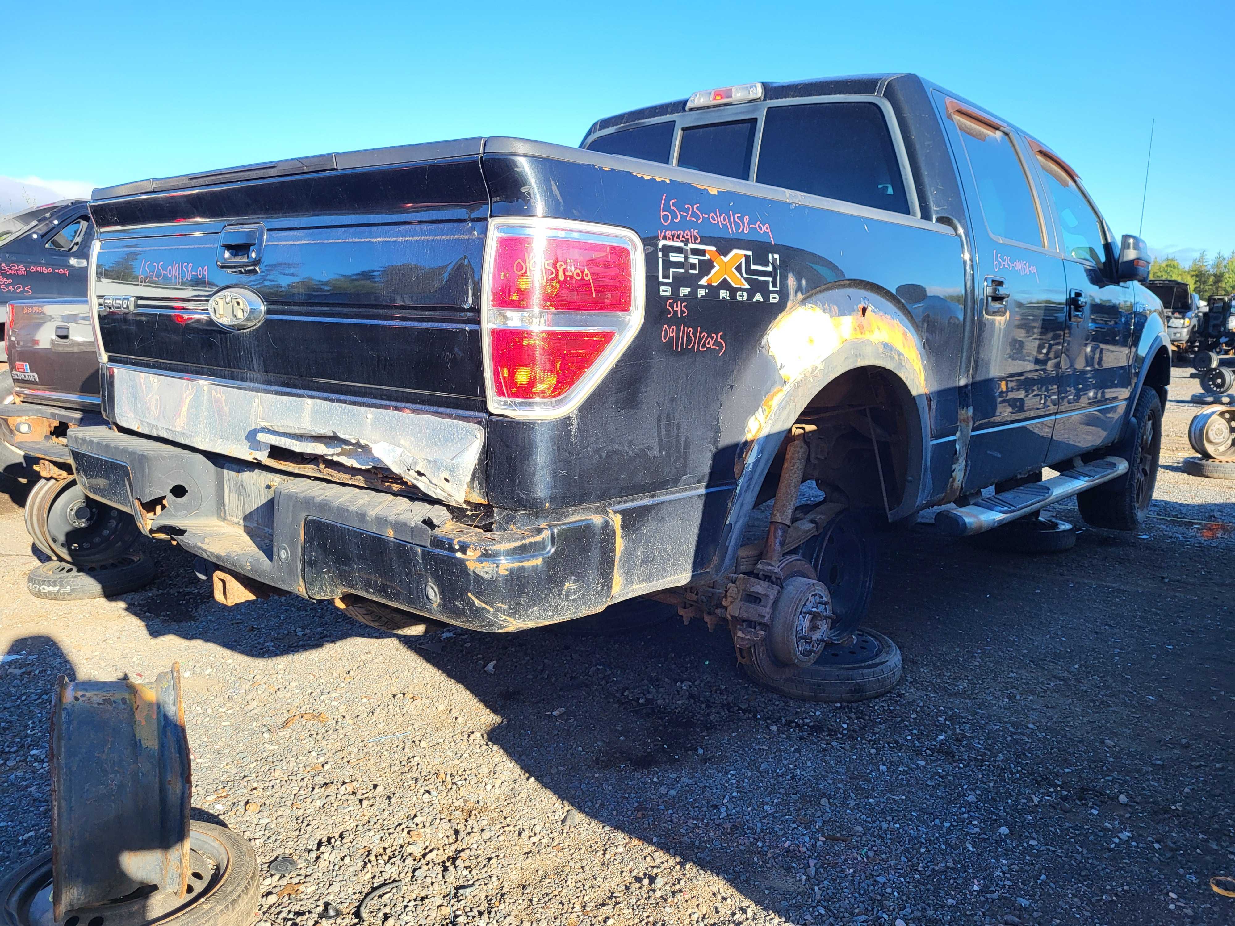 FORD F-150 2009