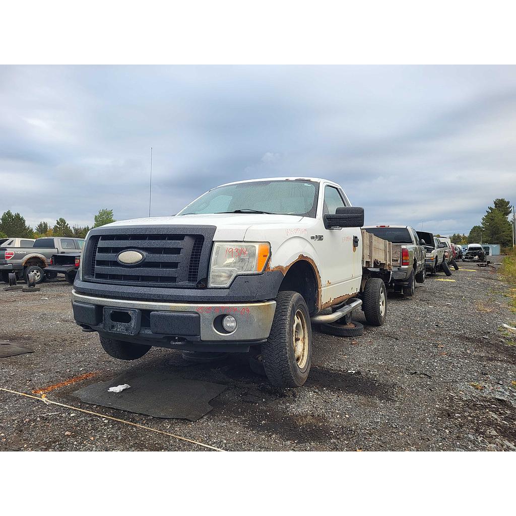 FORD F-150 2009