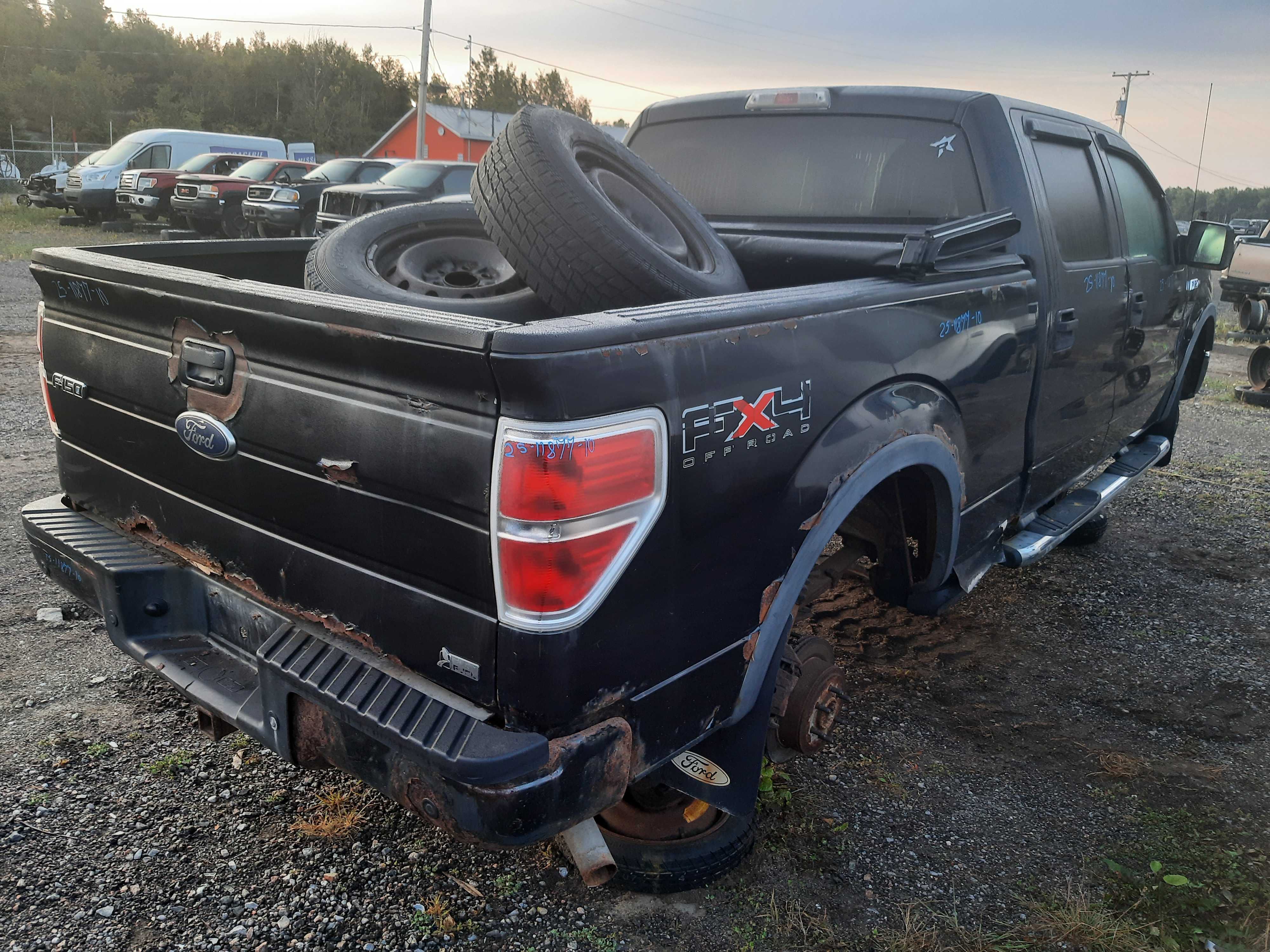 FORD F-150 2010