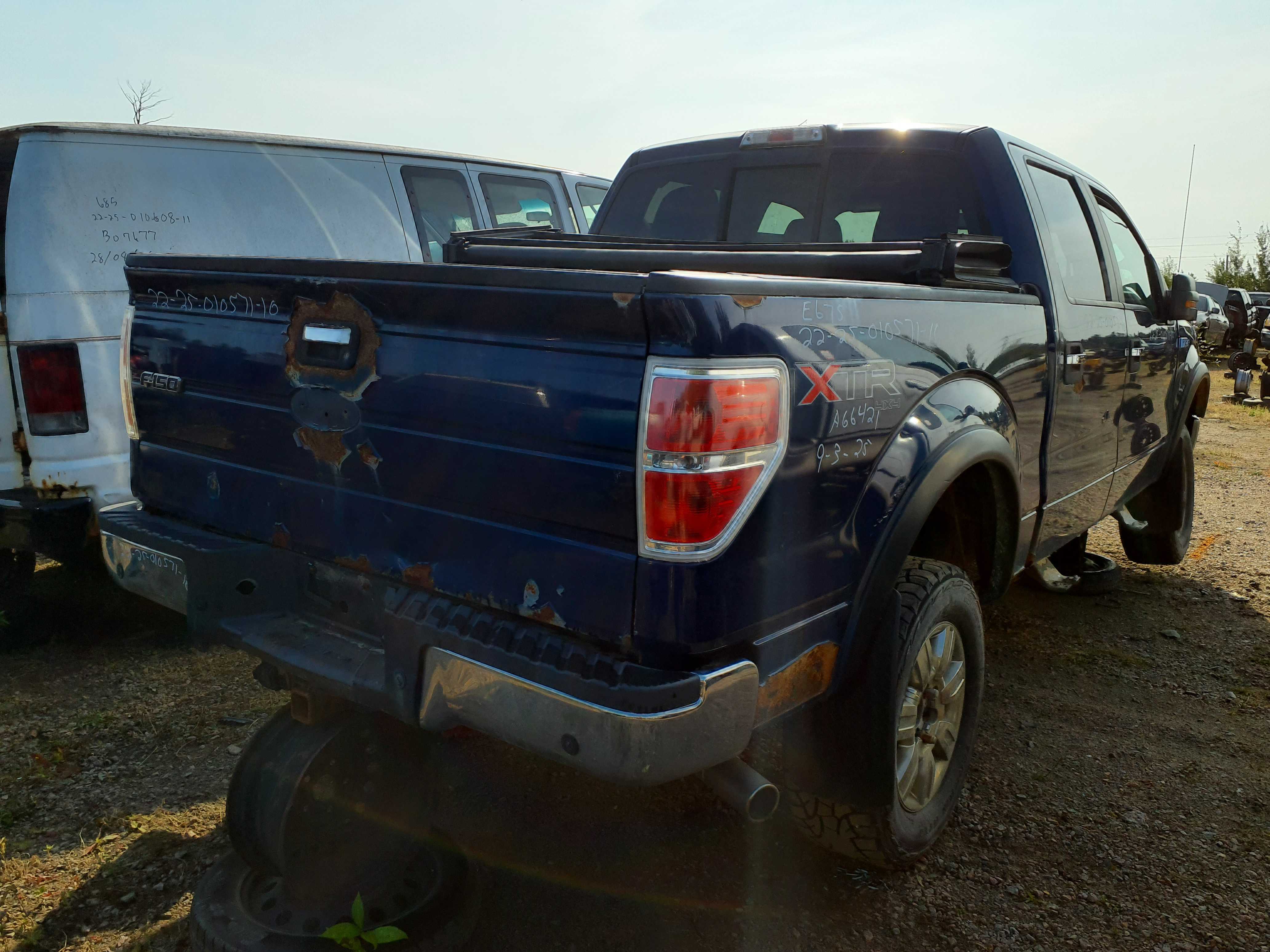 FORD F-150 2010