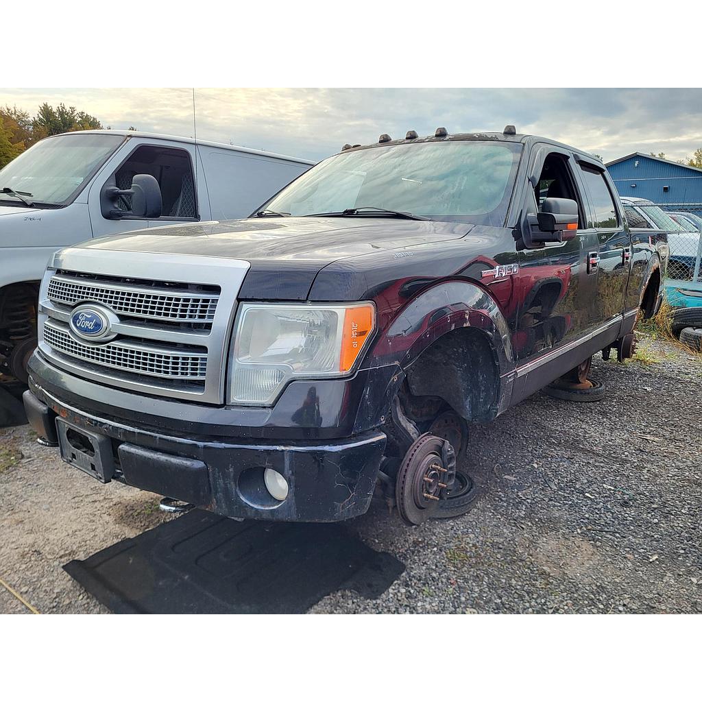 FORD F-150 2010