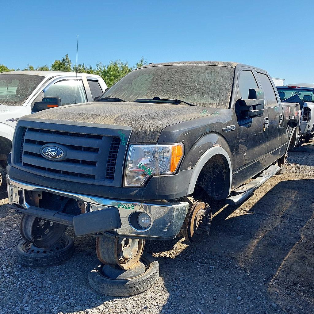FORD F-150 2010