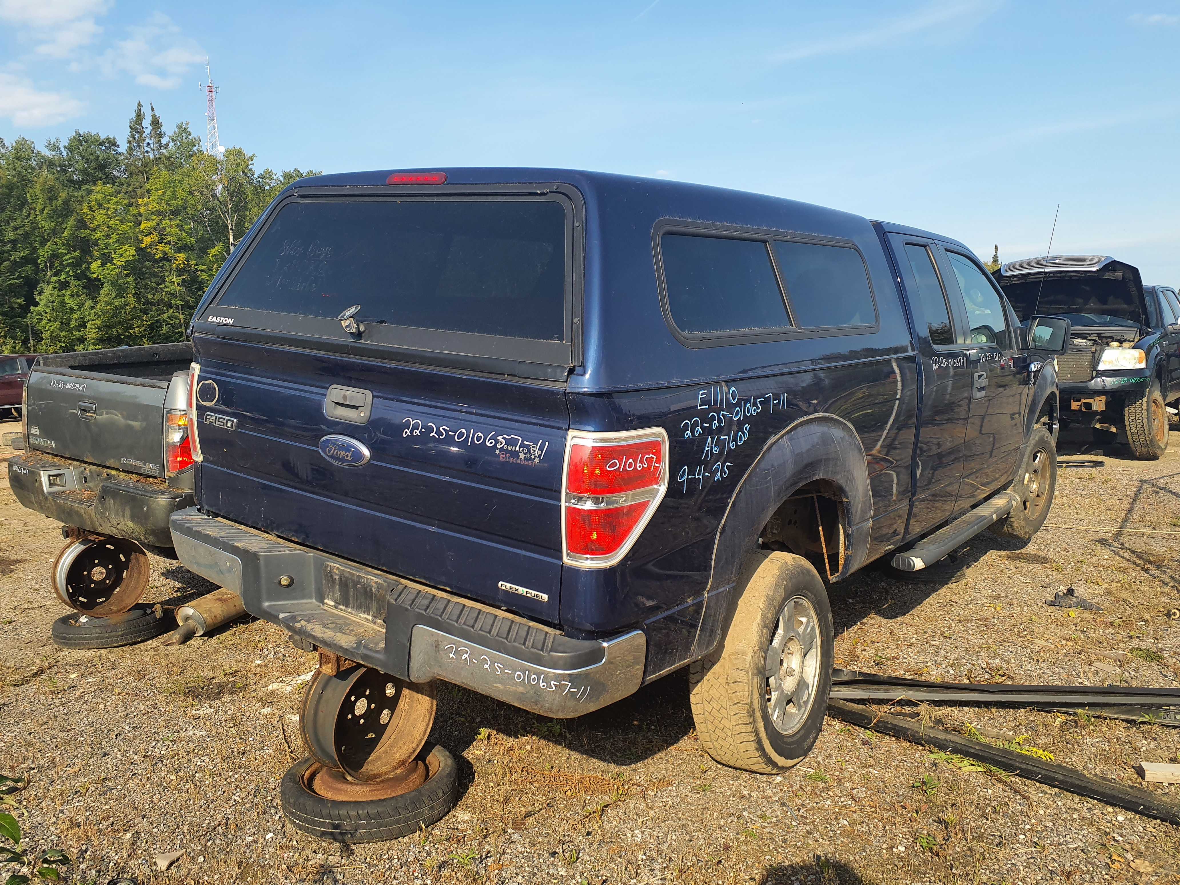 FORD F-150 2011