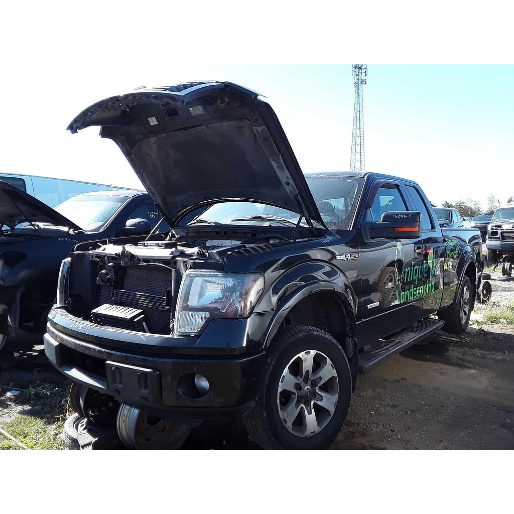 FORD F-150 2011