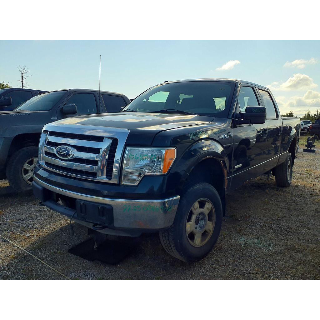 FORD F-150 2012