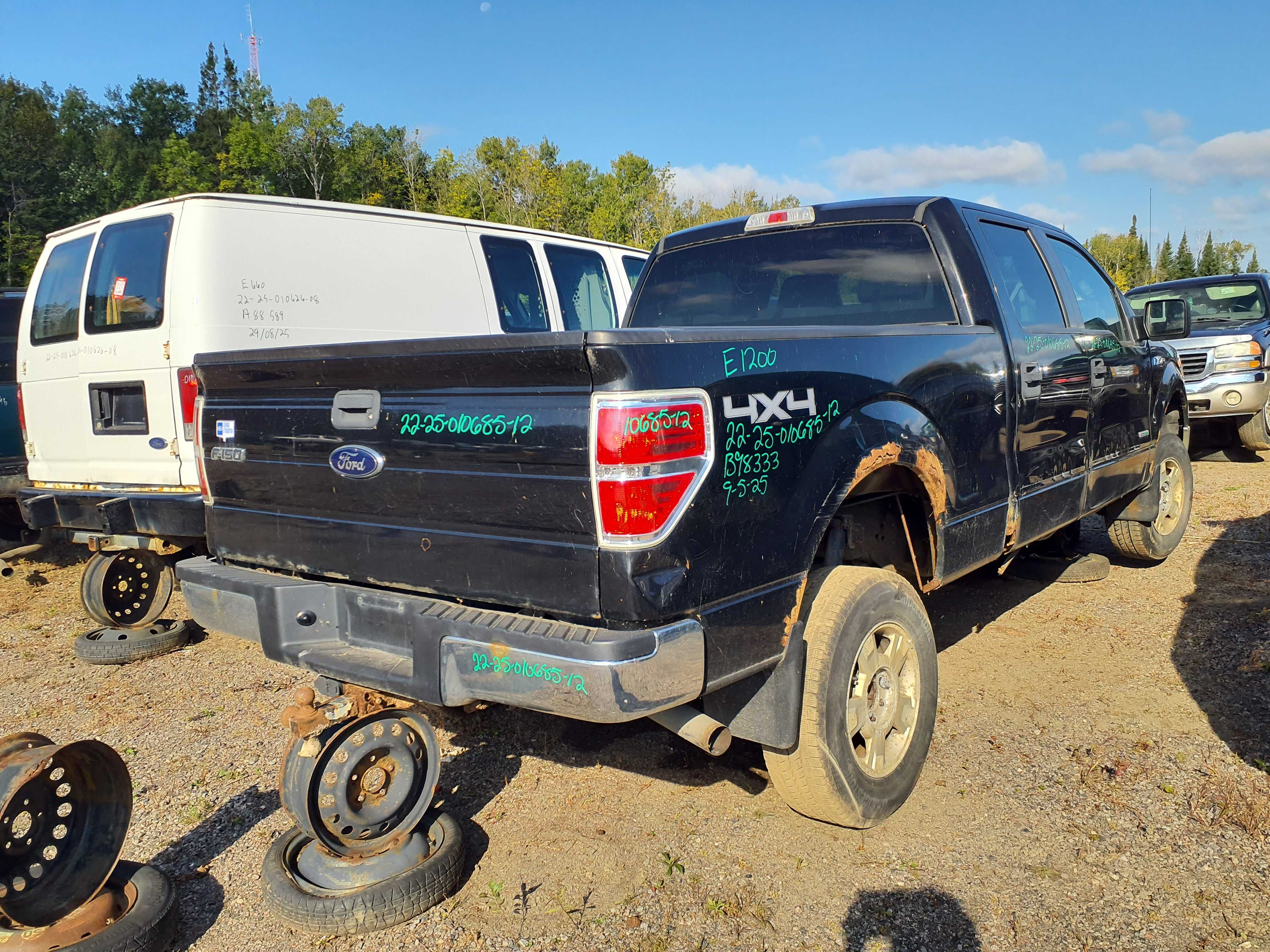 FORD F-150 2012