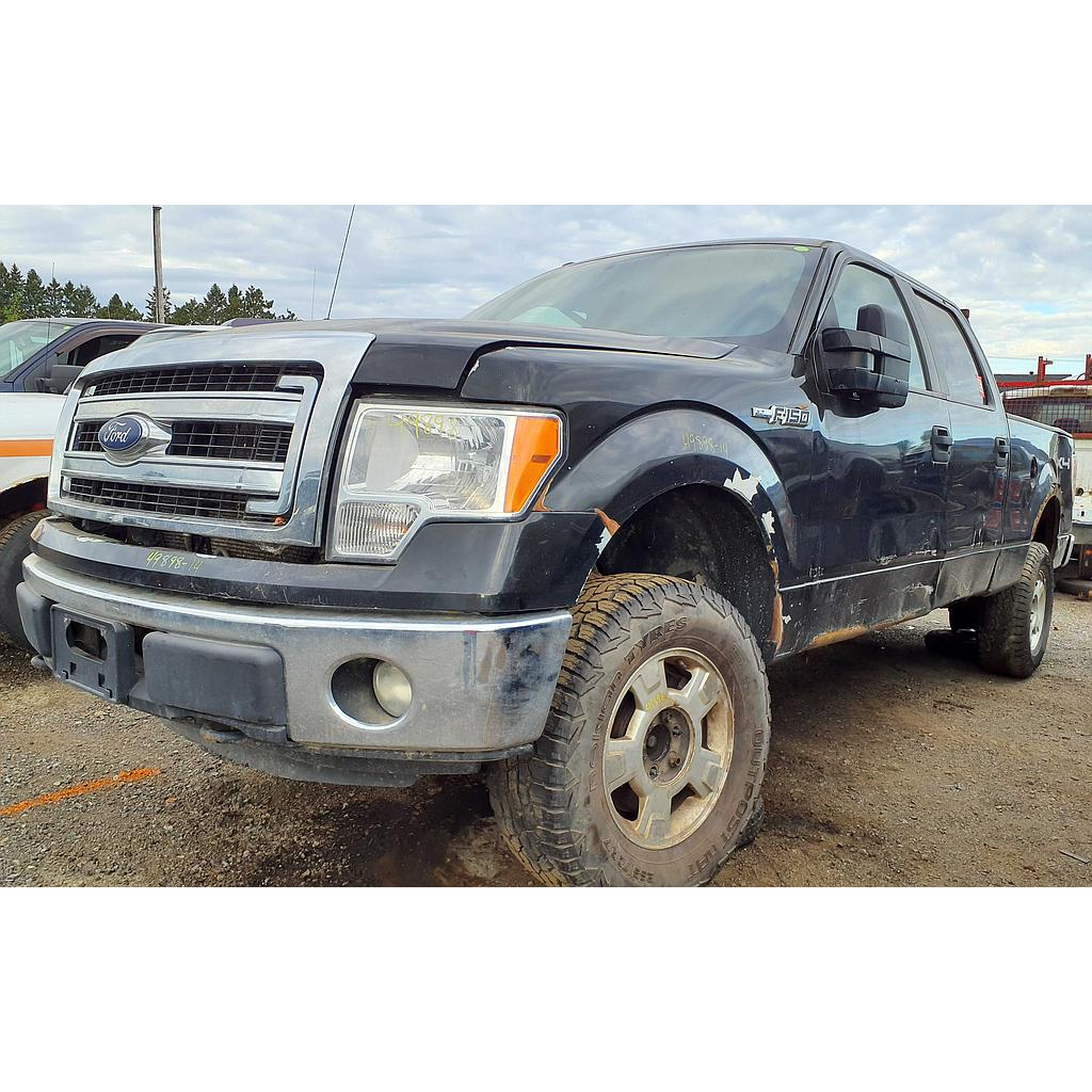 FORD F-150 2014