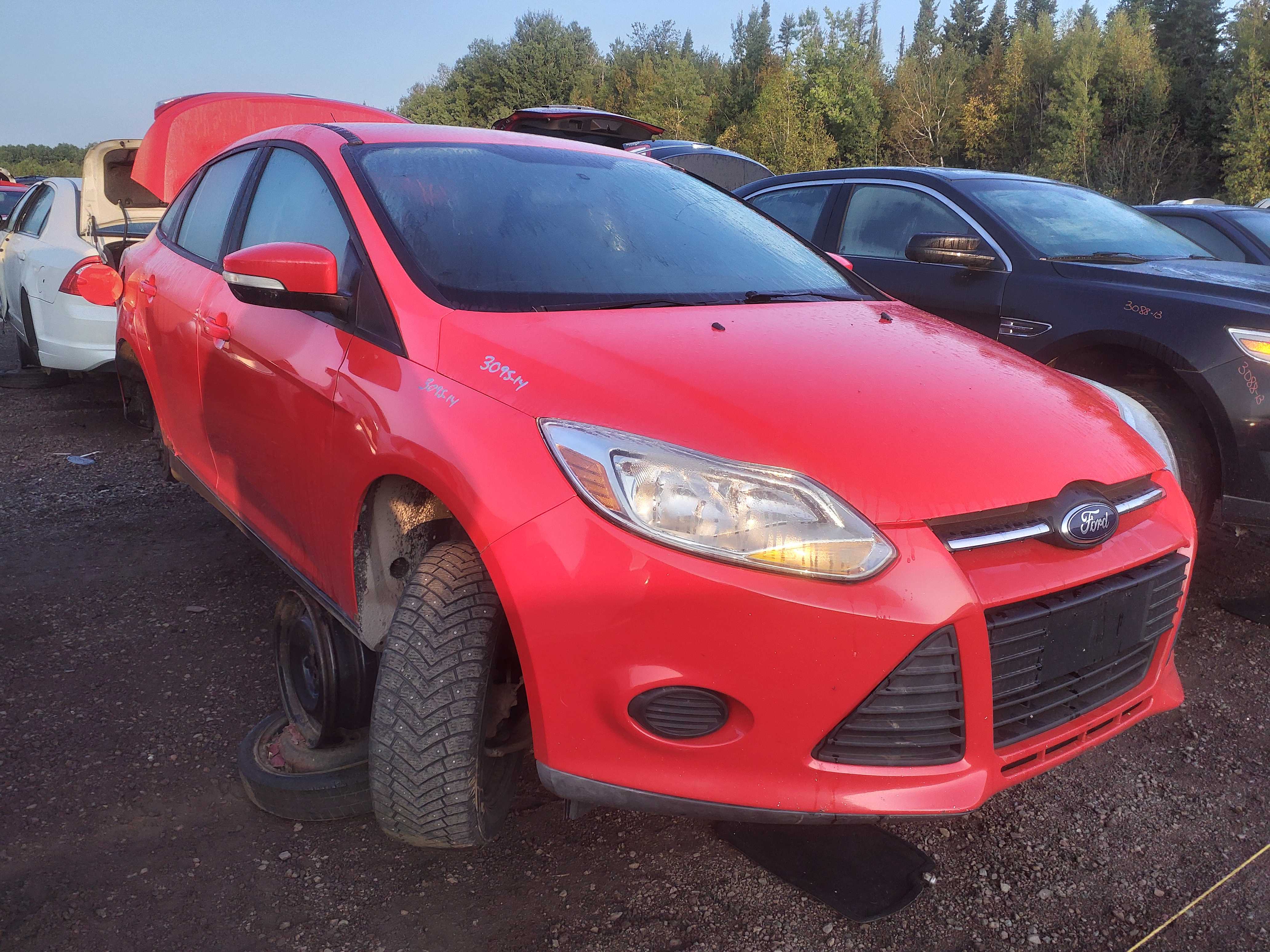 FORD FOCUS 2014