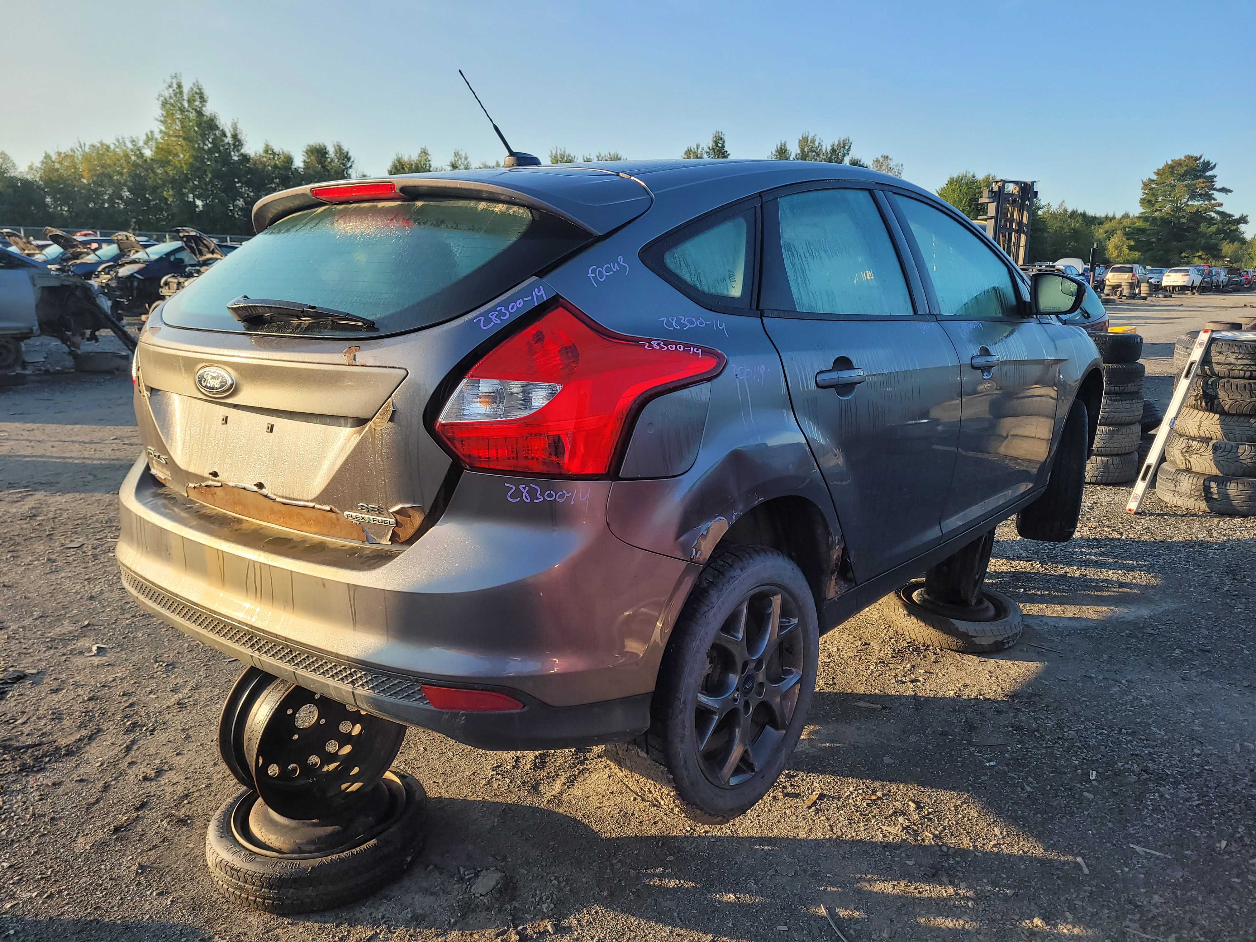 FORD FOCUS 2014