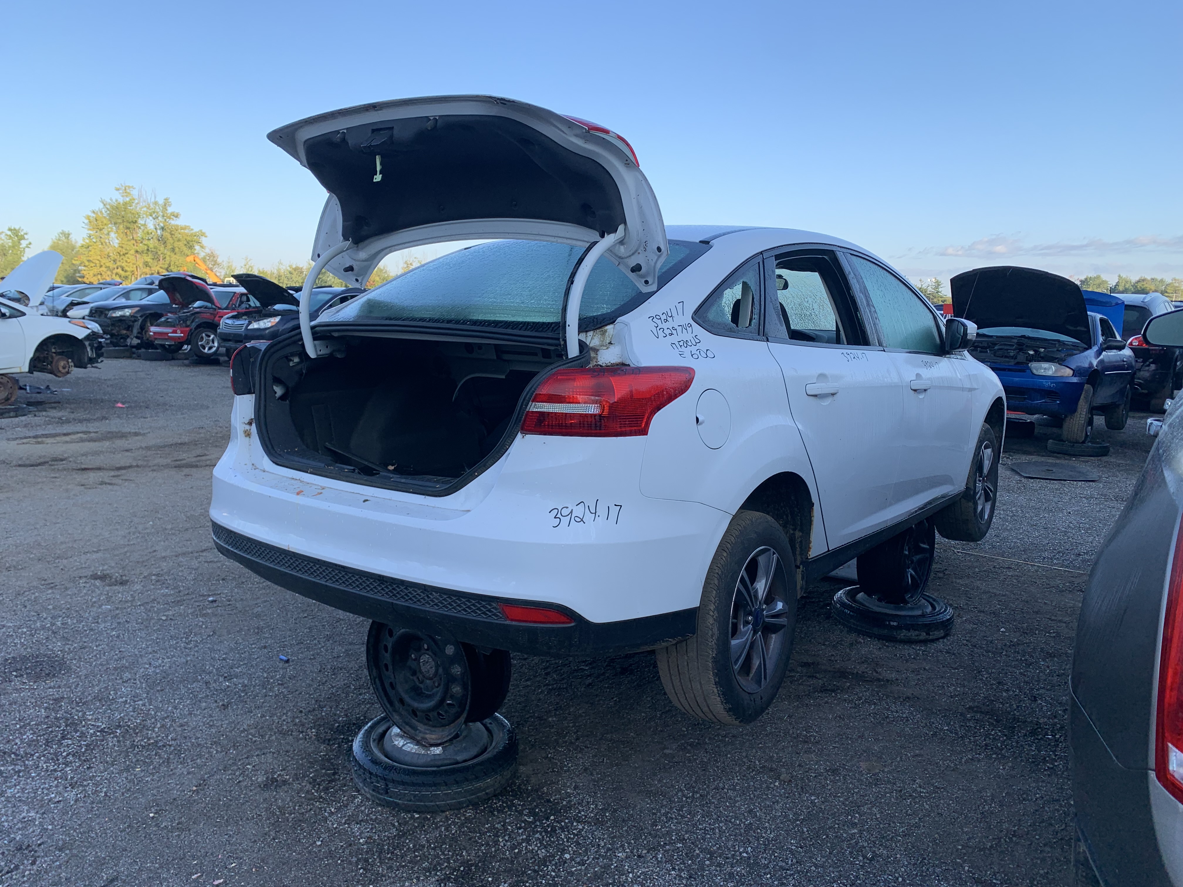FORD FOCUS 2017