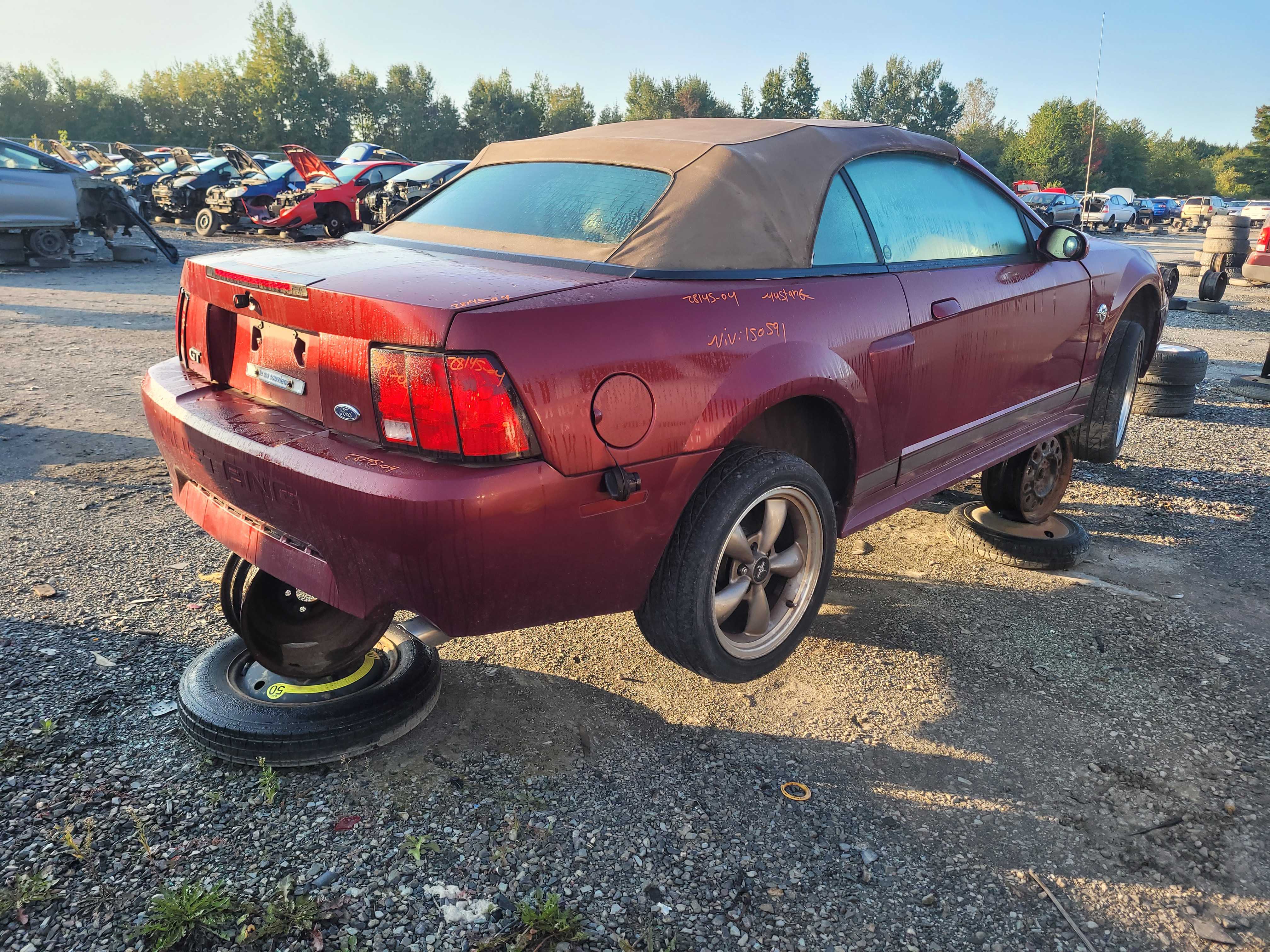 FORD MUSTANG 2004