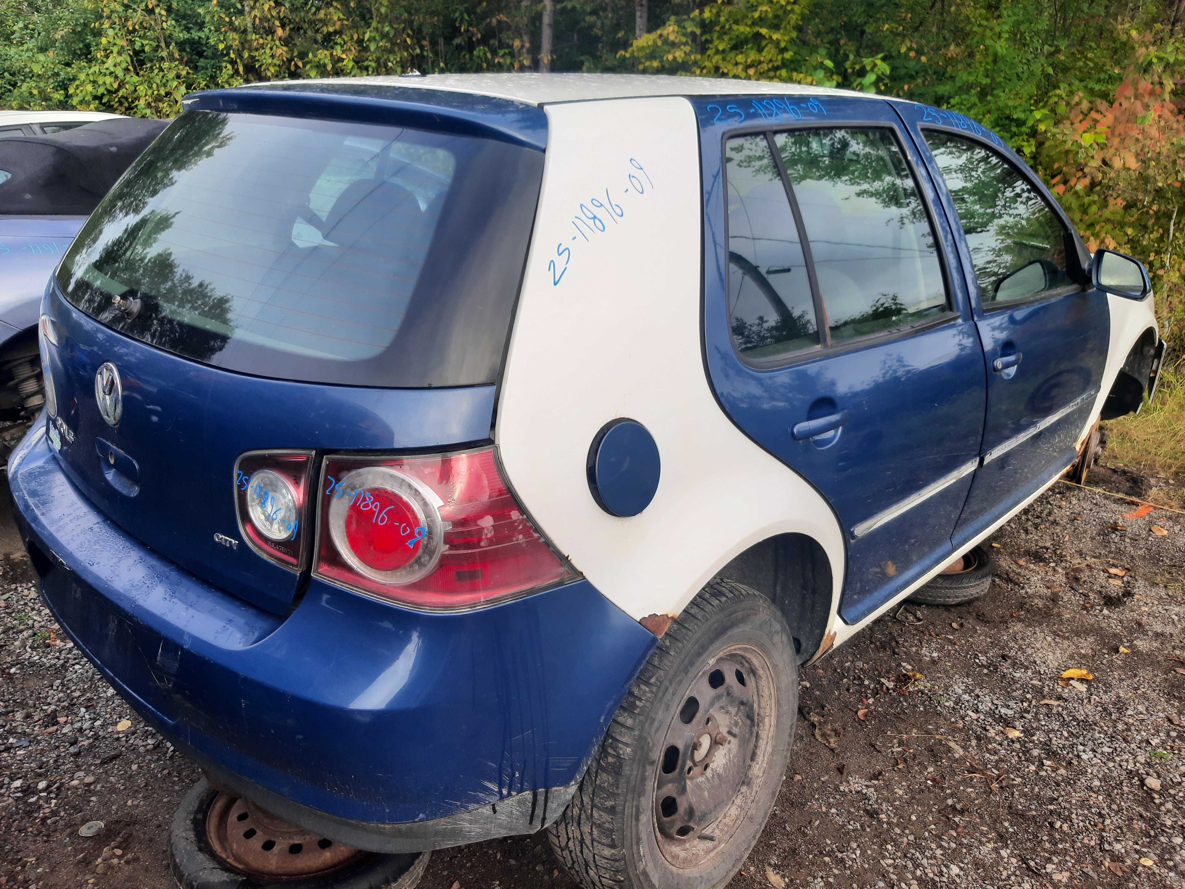 VOLKSWAGEN GOLF 2009