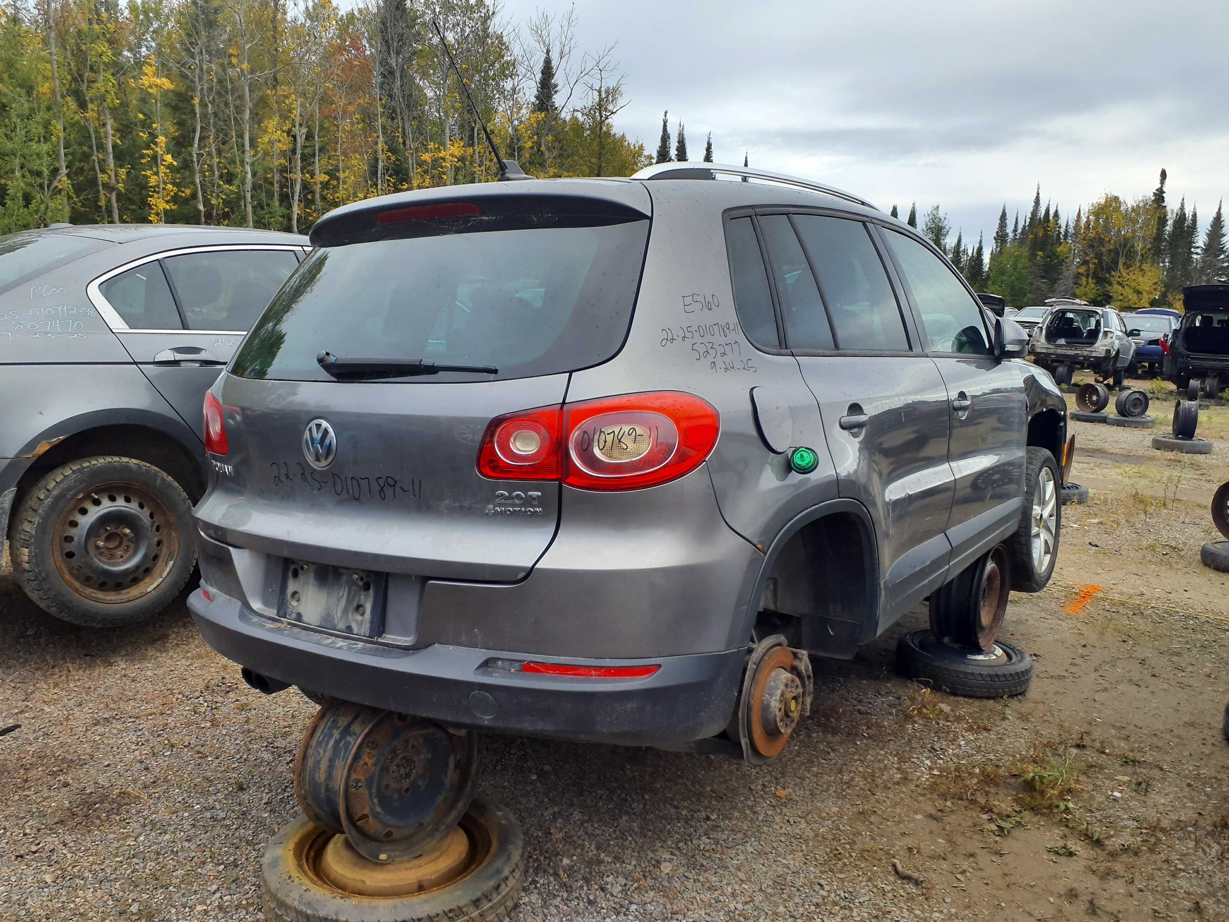 VOLKSWAGEN TIGUAN 2011
