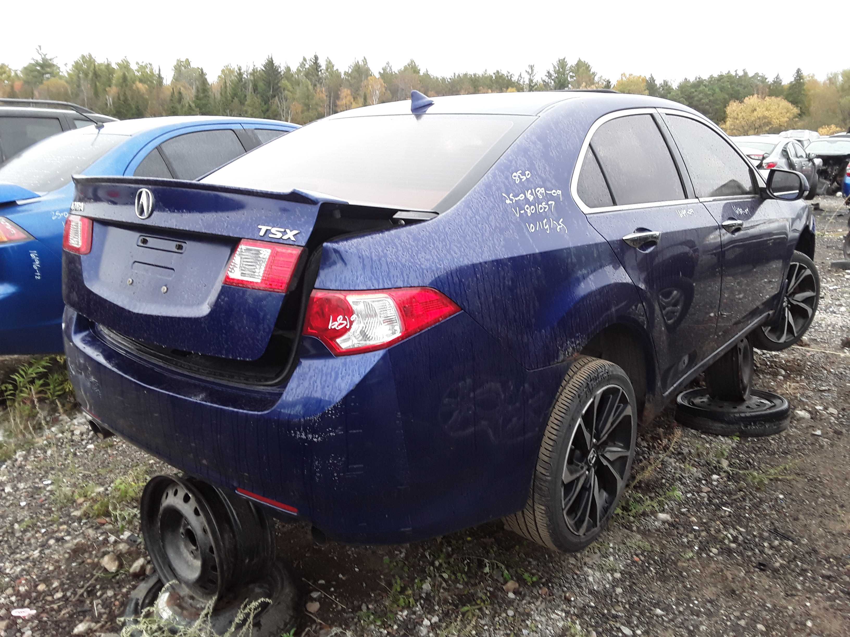 ACURA TSX 2009