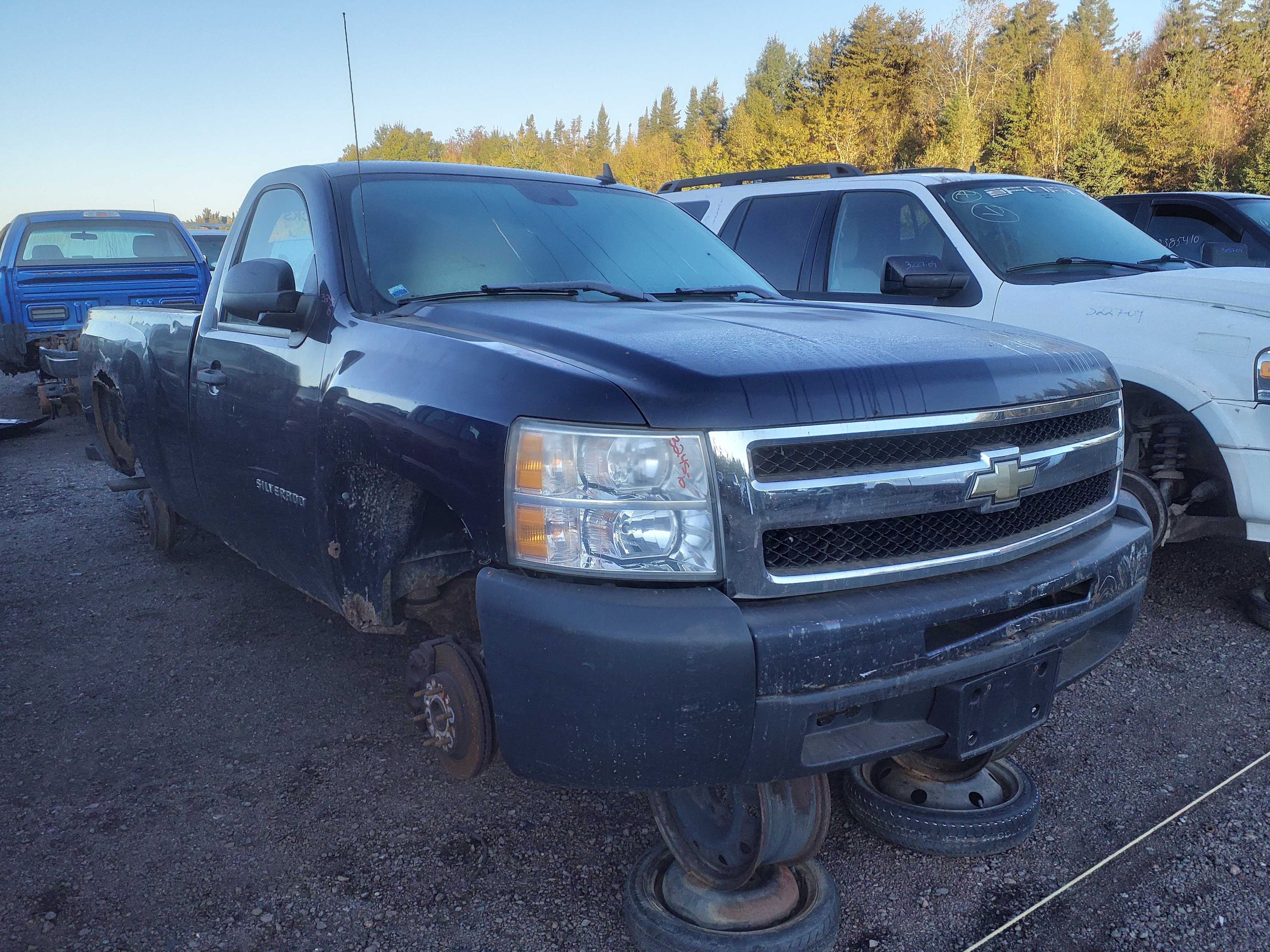 CHEVROLET SILVERADO 1500 2010