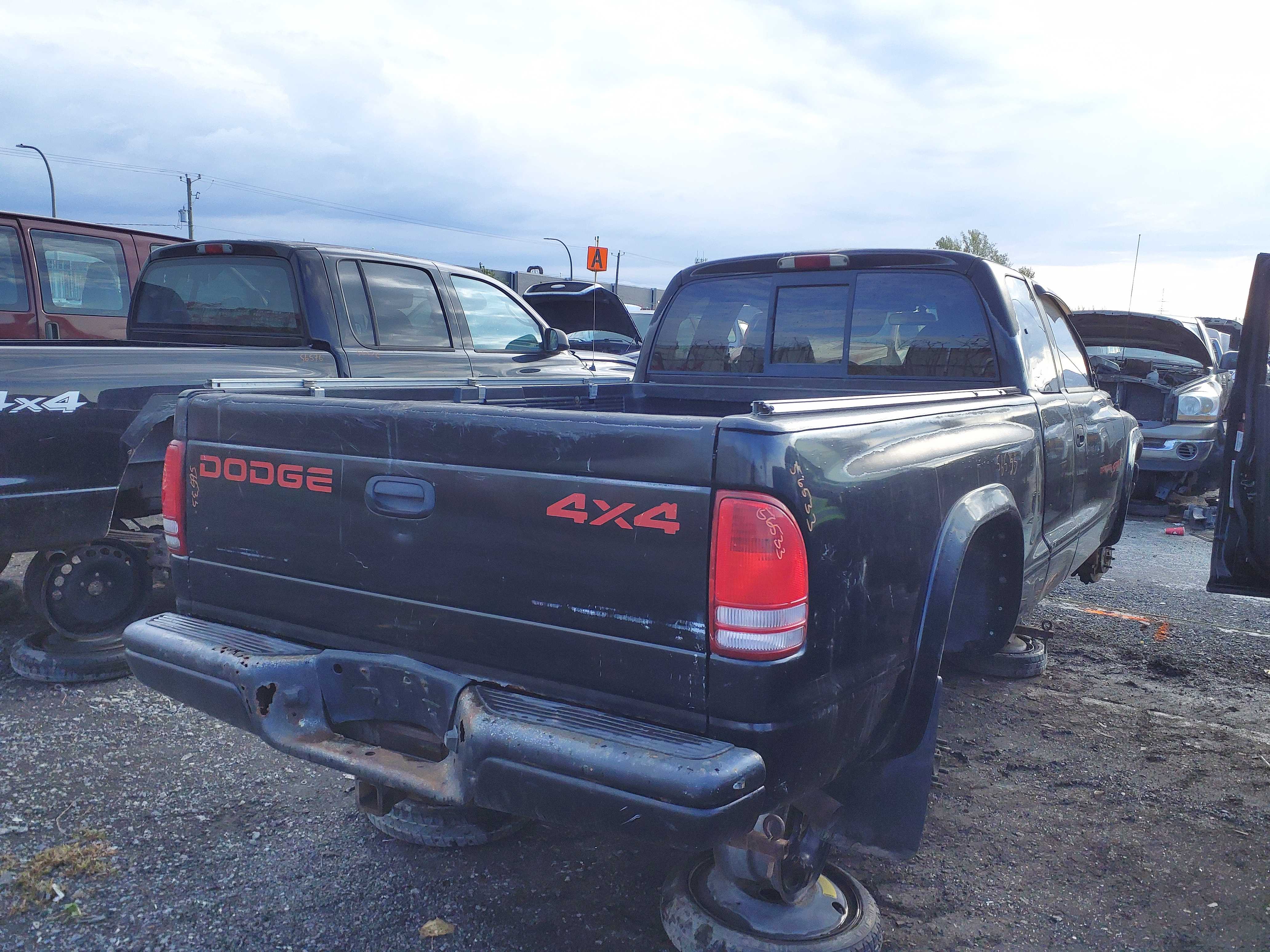 DODGE DAKOTA 2000