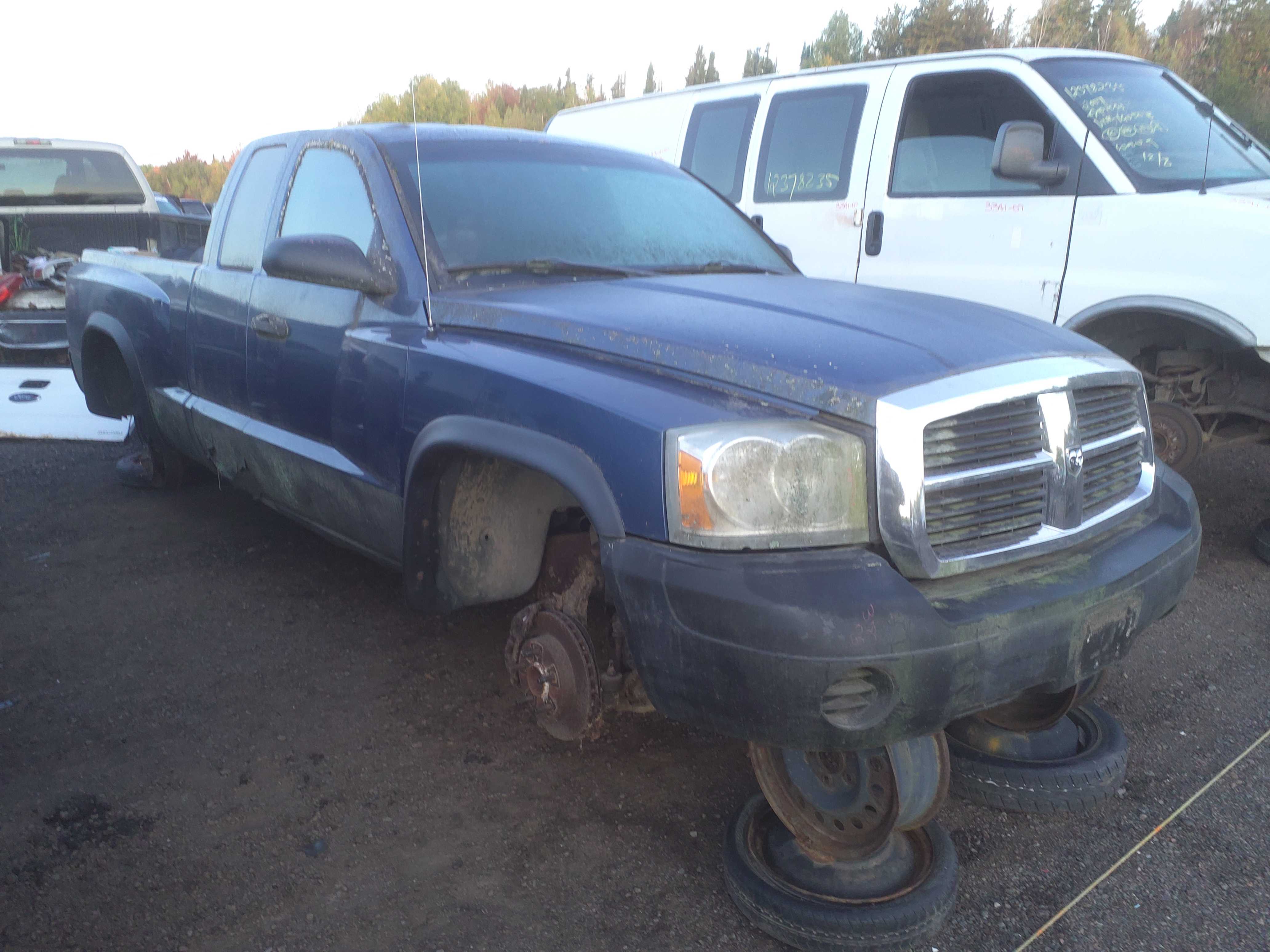 DODGE DAKOTA 2005