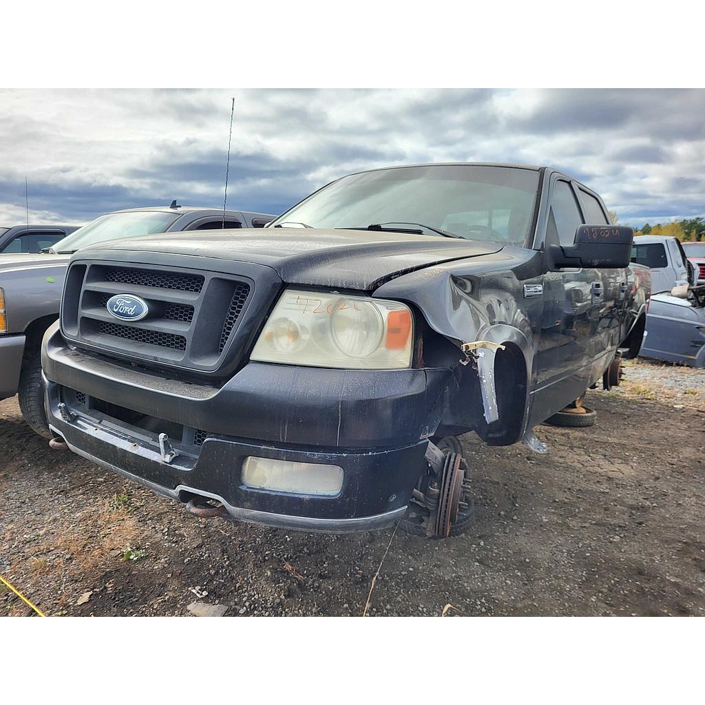FORD F-150 2004
