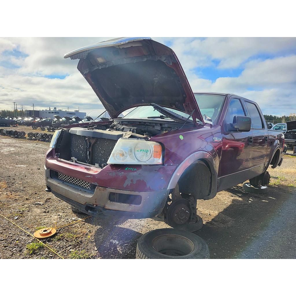 FORD F-150 2004