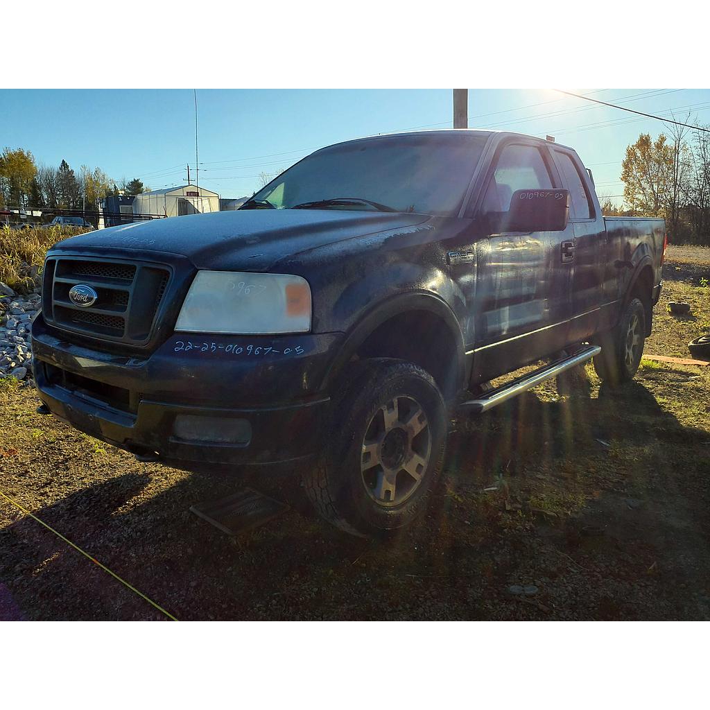 FORD F-150 2005