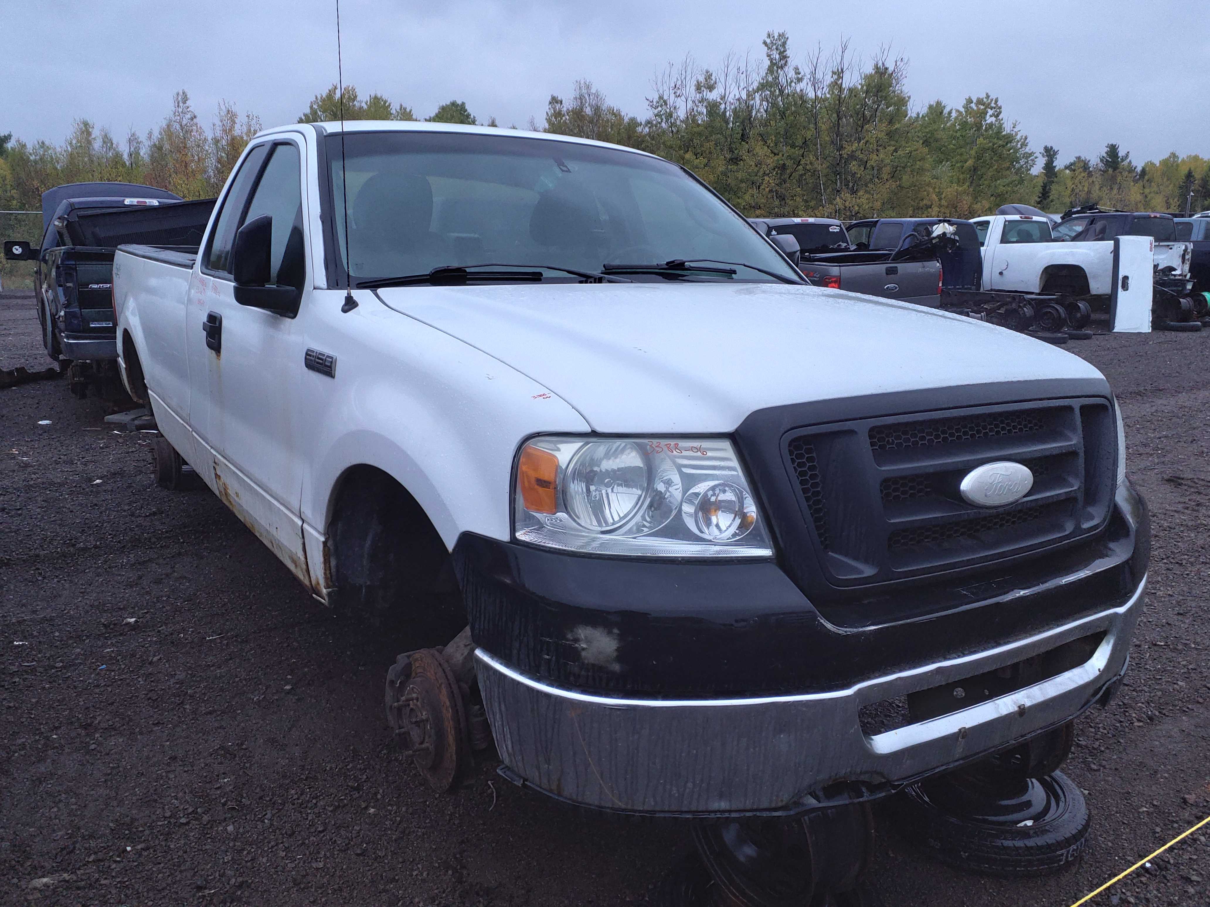 FORD F-150 2006