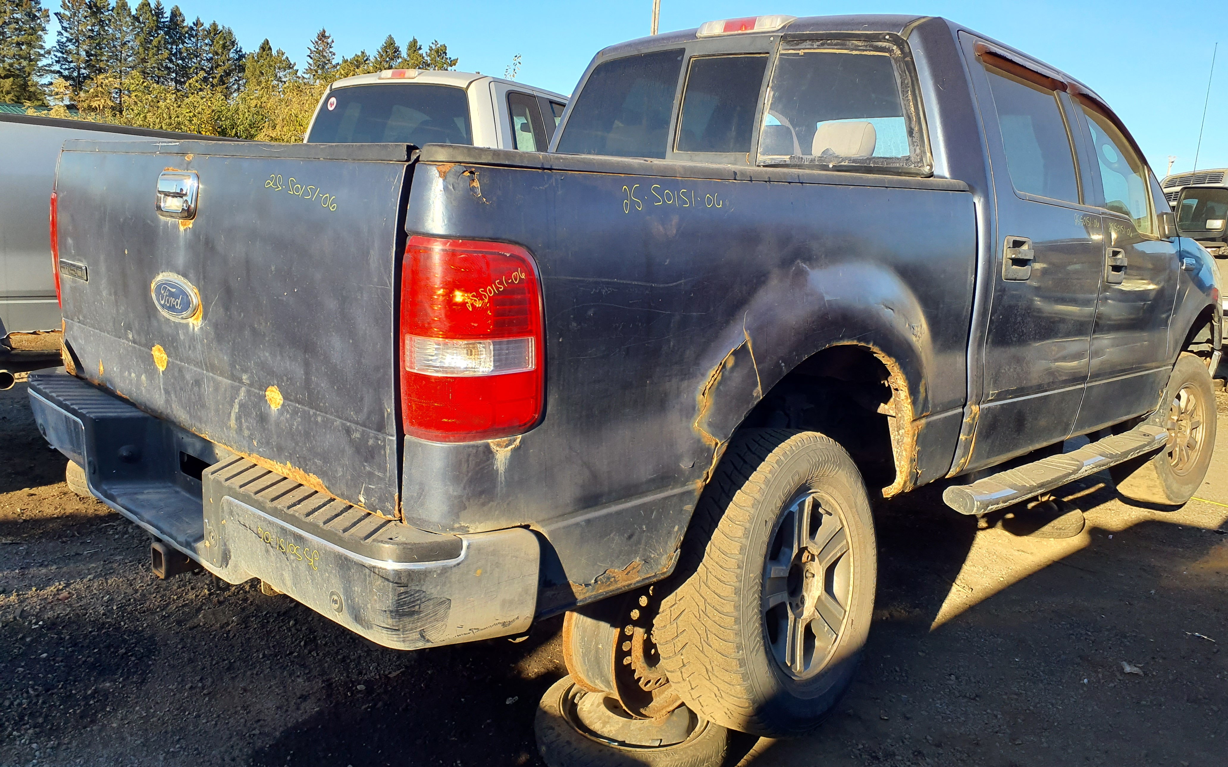 FORD F-150 2006